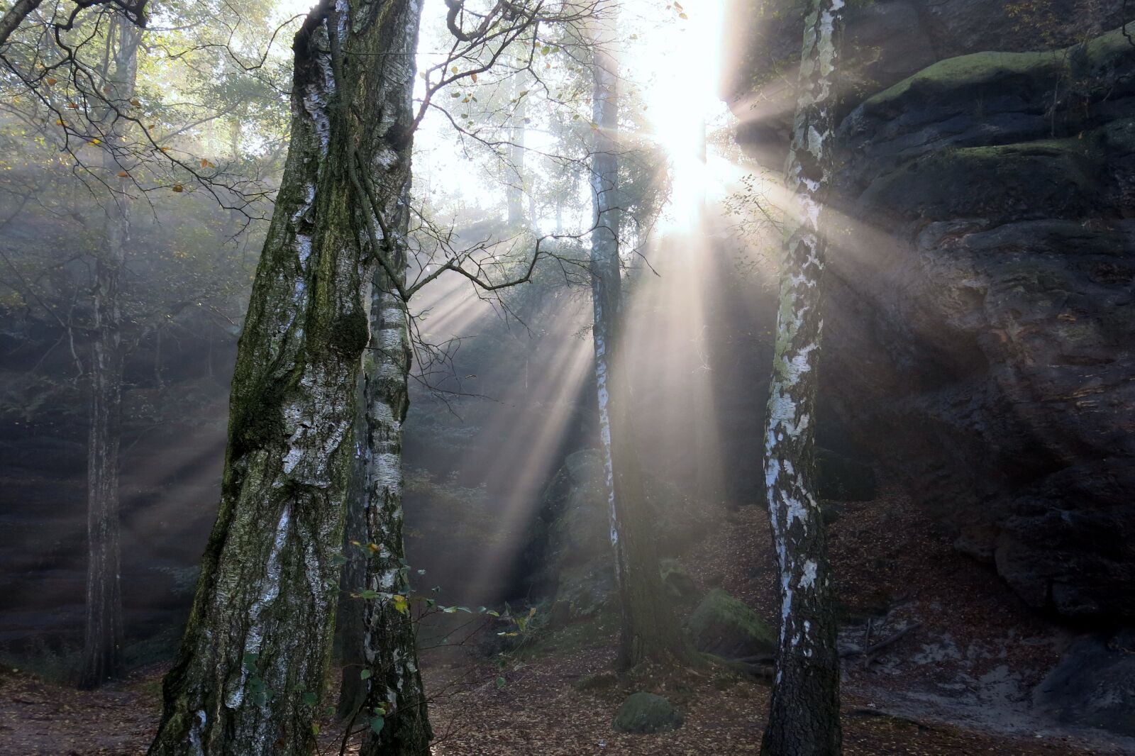 Canon PowerShot G15 sample photo. Fairytale, sunbeam, fog photography