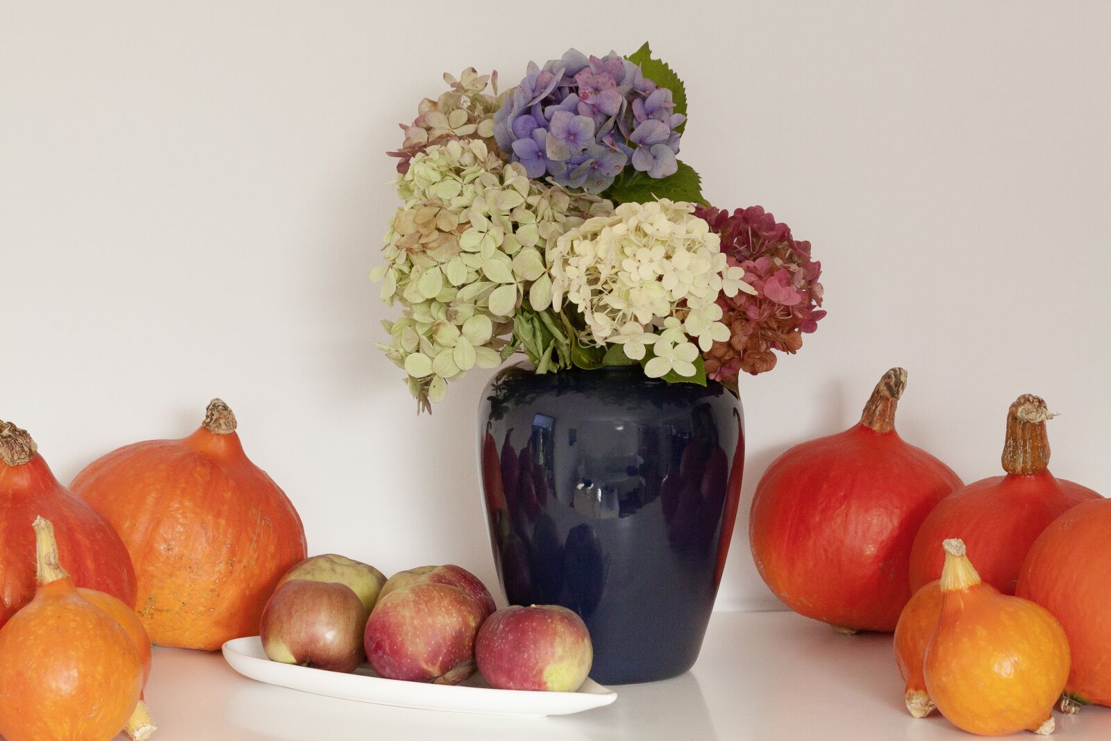 Canon EOS 50D sample photo. Pumpkin, hokkaido, vegetables photography