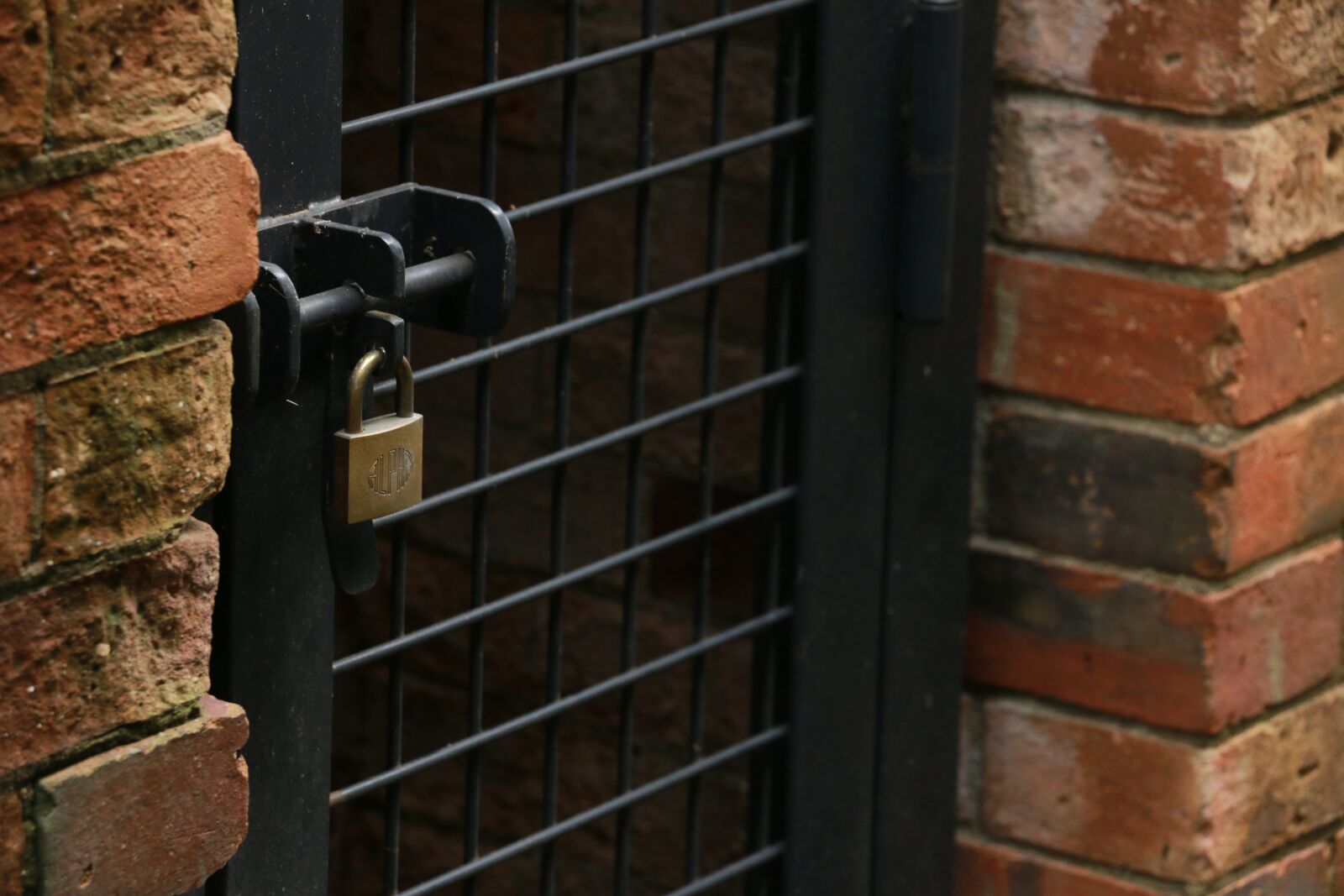 Canon EOS 70D sample photo. Key, padlock, cage photography