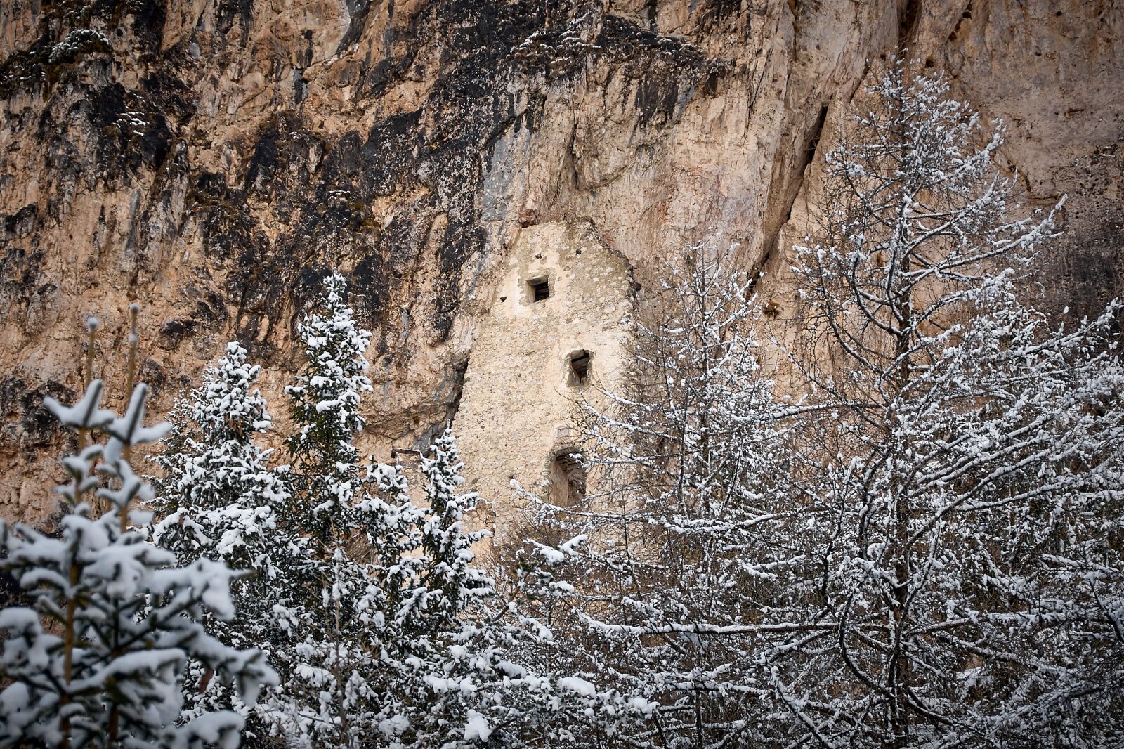 Nikon D200 sample photo. Winter, snow, snowy photography