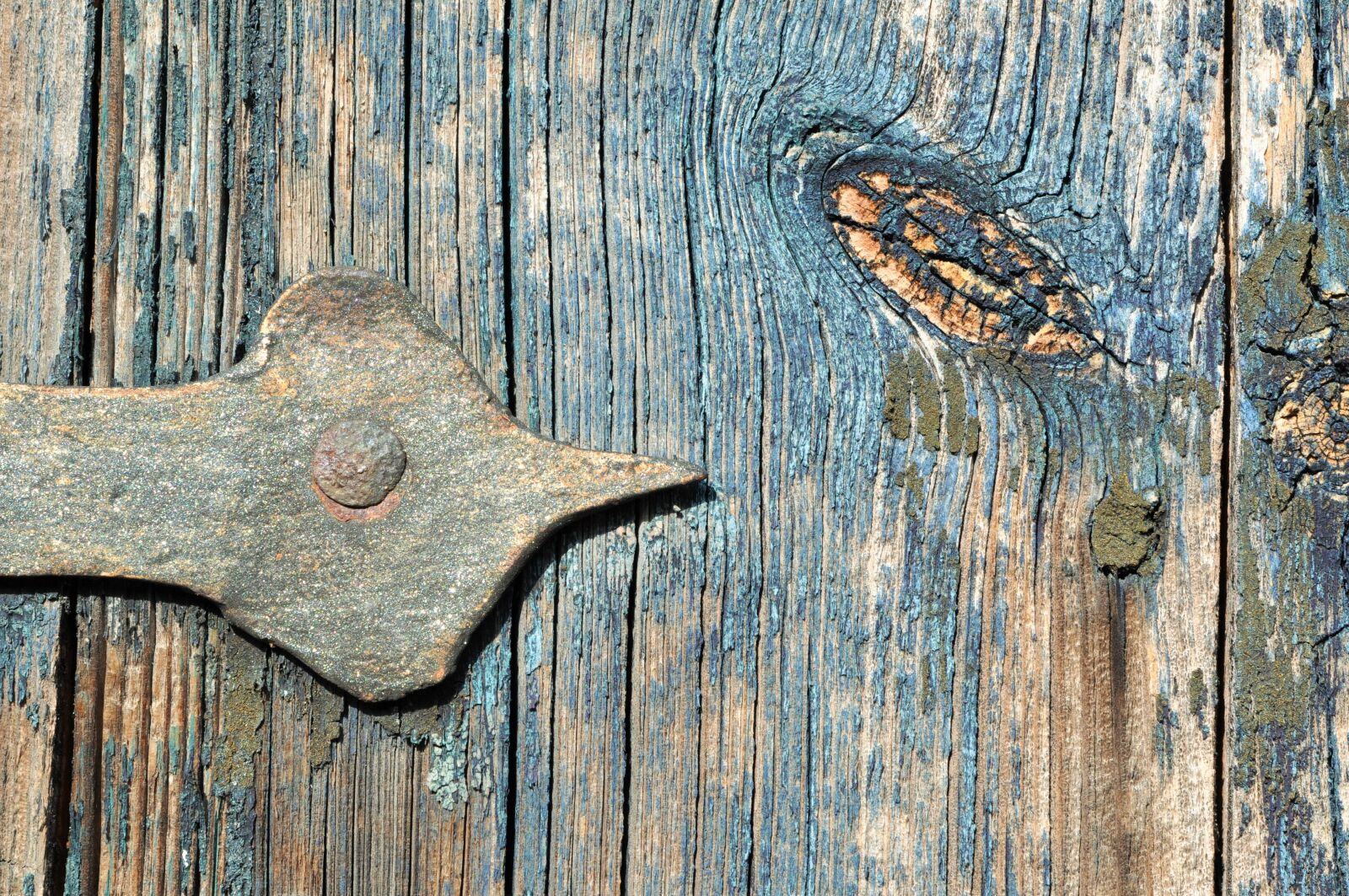 Nikon D5000 sample photo. Door hinge, wood, door photography