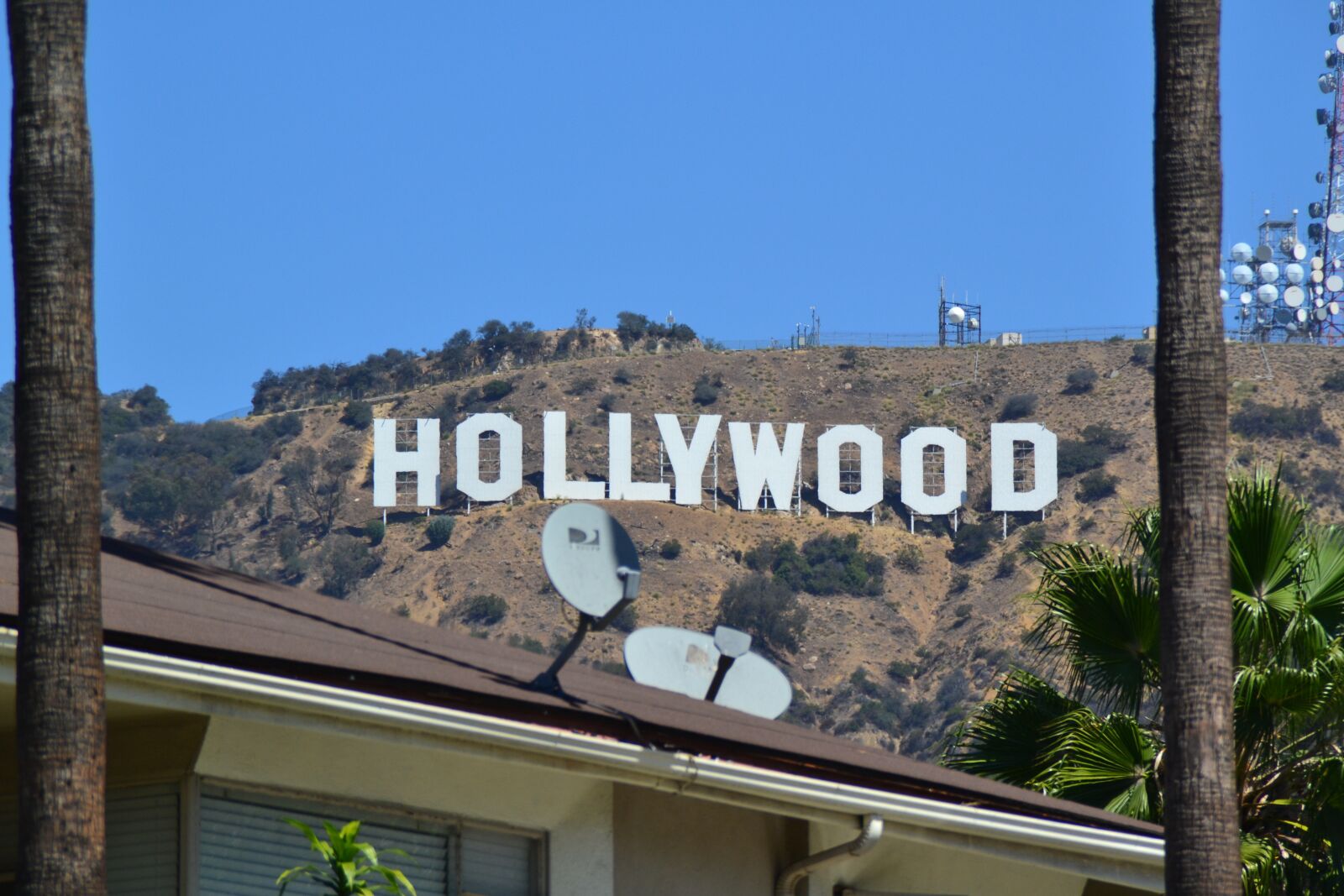 Nikon D3100 sample photo. Usa, hollywood, california photography