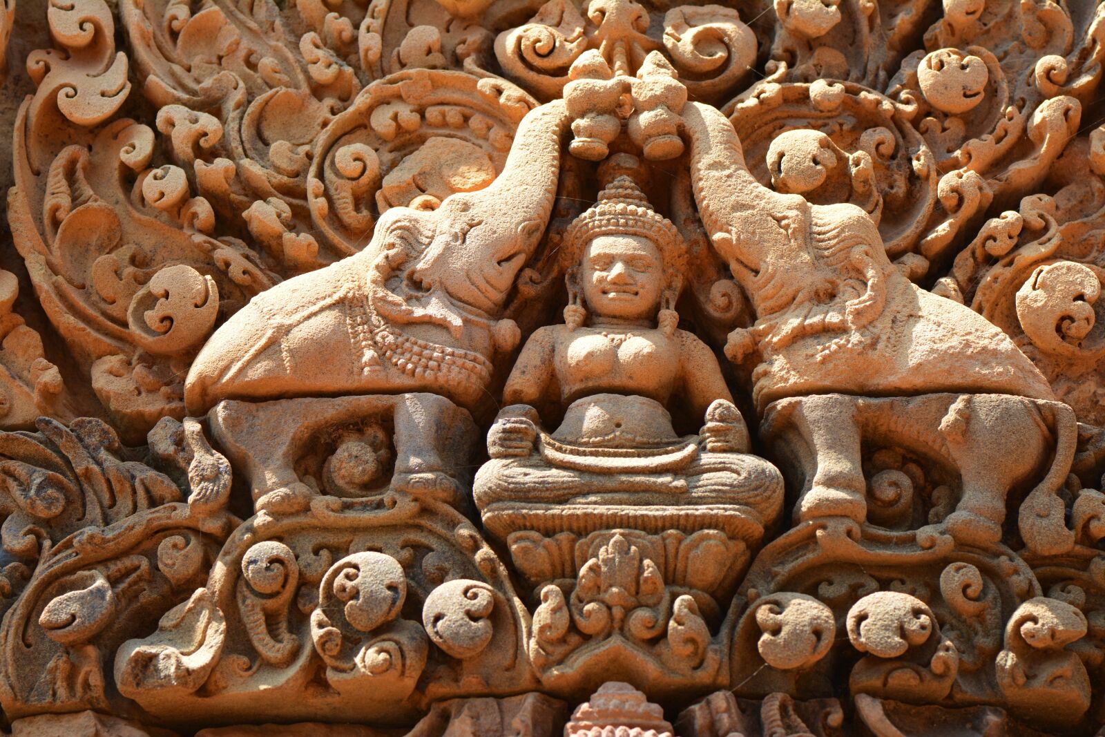 Nikon D7100 sample photo