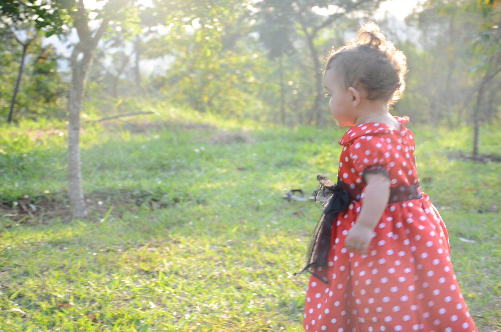 Nikon D7000 sample photo. Girl, dress, minnie photography