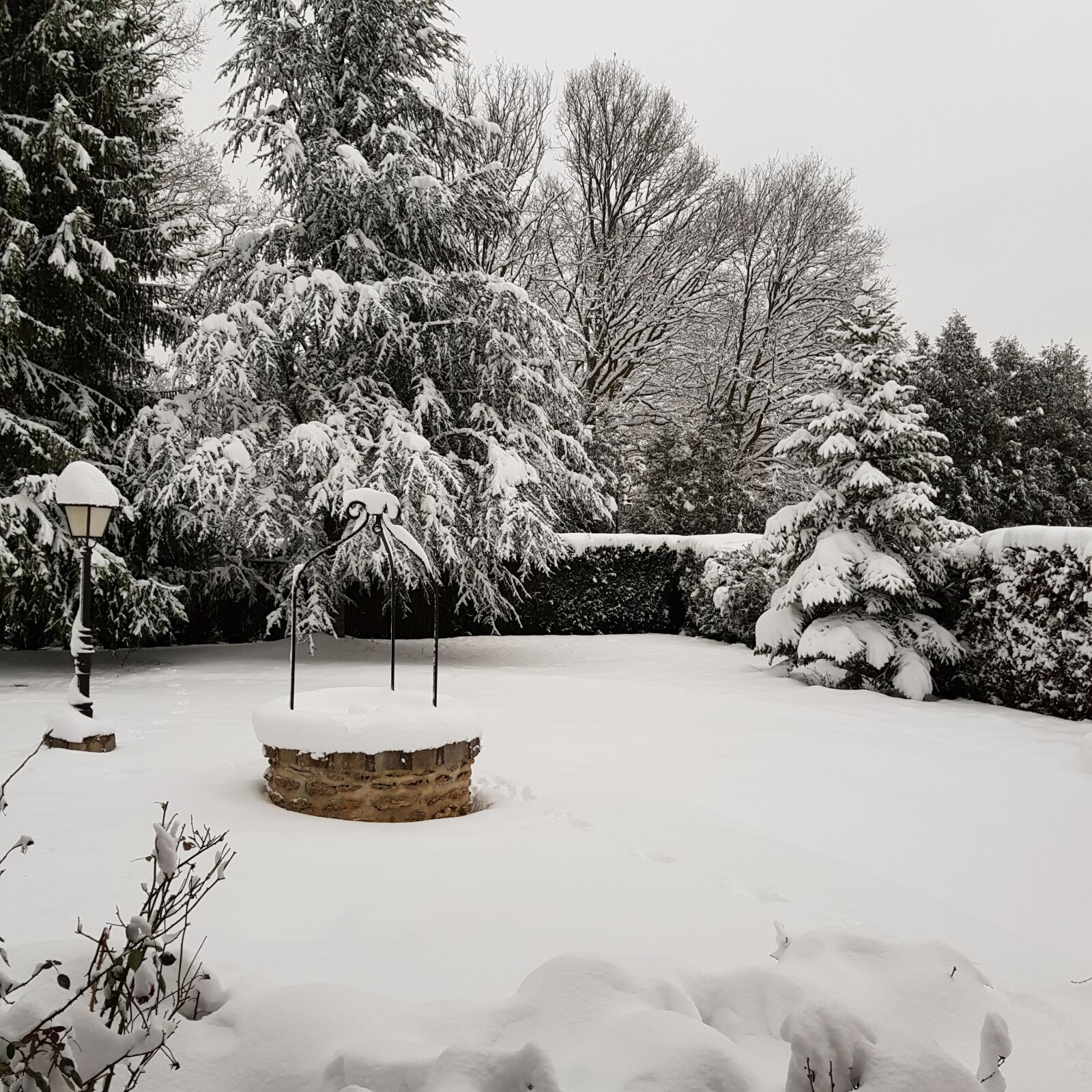 Samsung Galaxy S8+ sample photo. Winter, snow, tree photography