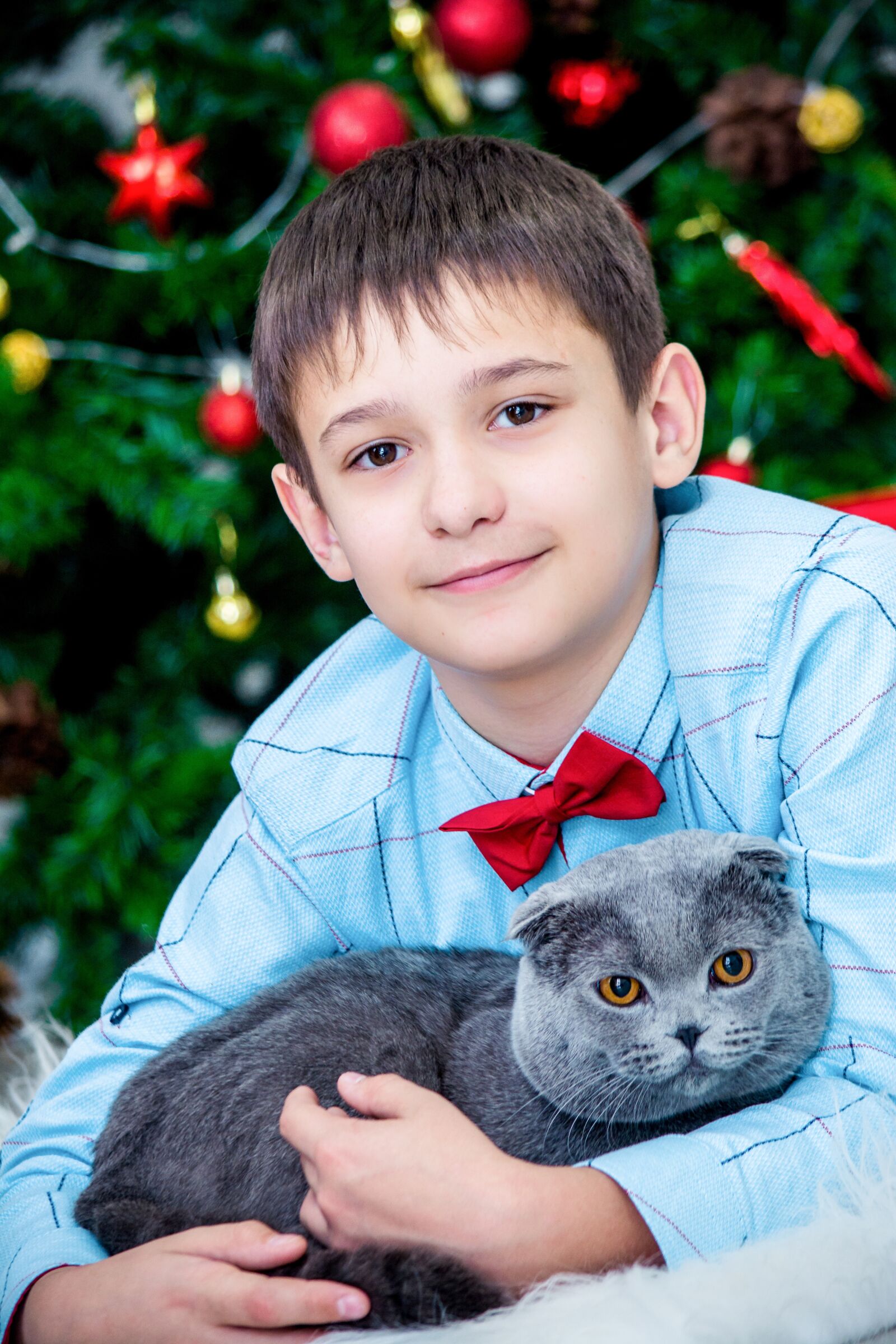 Nikon D5200 sample photo. Christmas decor, new year's photography