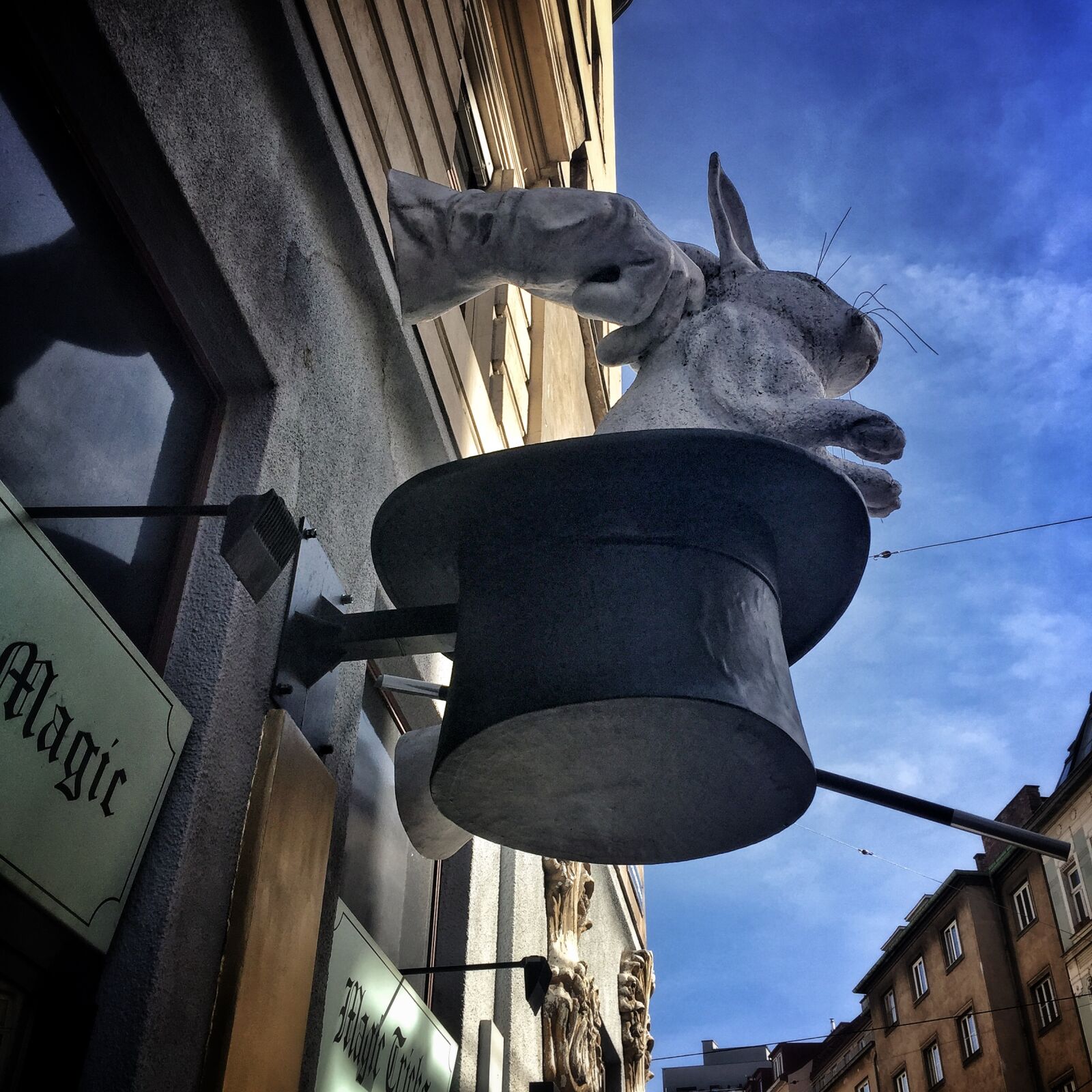 Apple iPhone 6 sample photo. Hand, hat, magic, rabbit photography