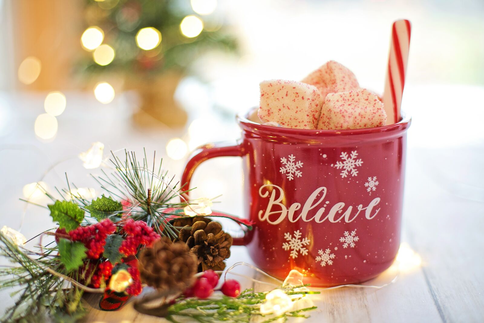 Canon EF 50mm F1.4 USM sample photo. Christmas, hot chocolate, cocoa photography