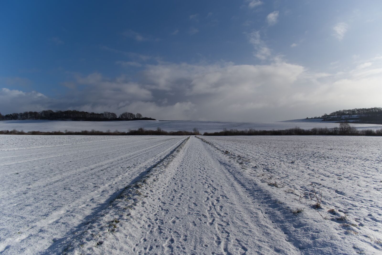Nikon D5500 sample photo. Winter, cold, snow photography