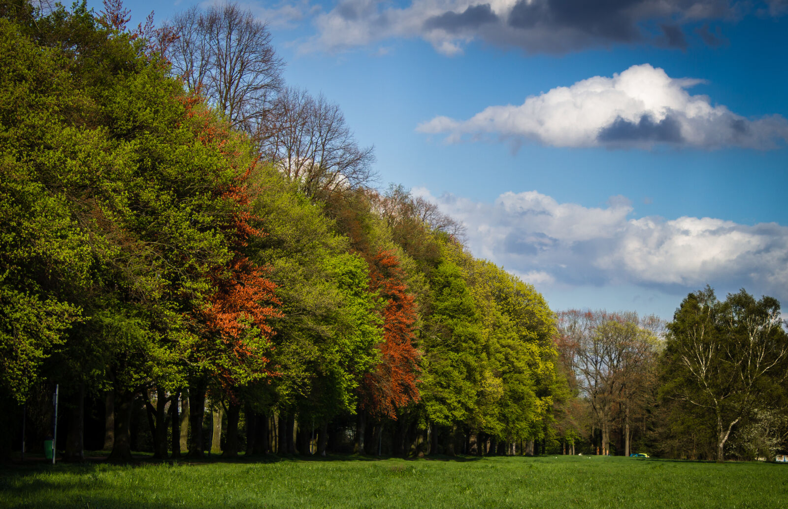 Canon EOS 1200D (EOS Rebel T5 / EOS Kiss X70 / EOS Hi) sample photo. Green, and, red, tress photography