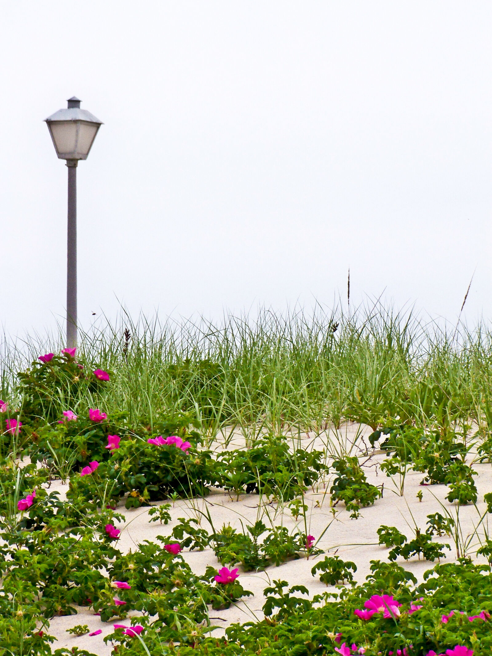 Kodak EASYSHARE Z1012 IS DIGITAL CAMERA sample photo. Beach, lamp, lamp, post photography