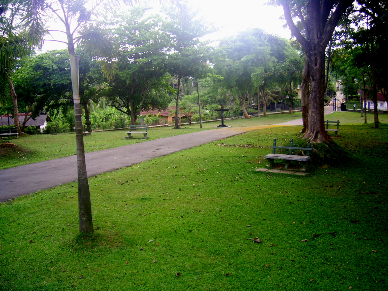 DIGITAL CAM sample photo