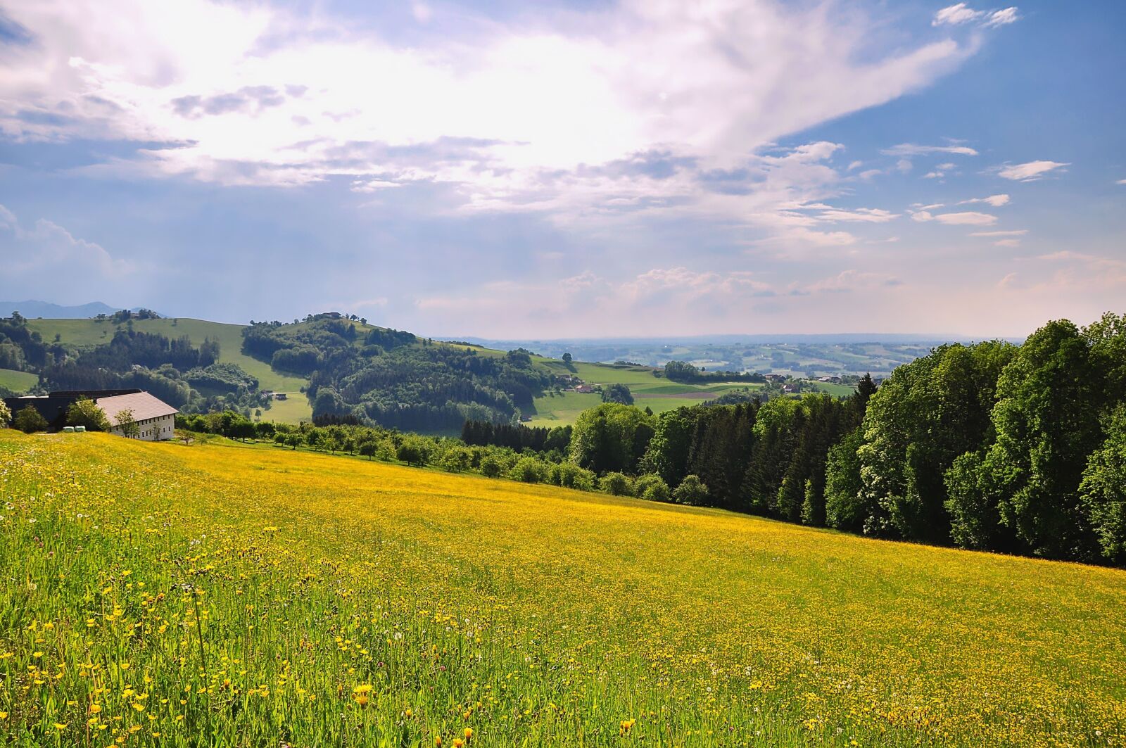 Nikon D90 sample photo. Nature, landscape, meadow photography