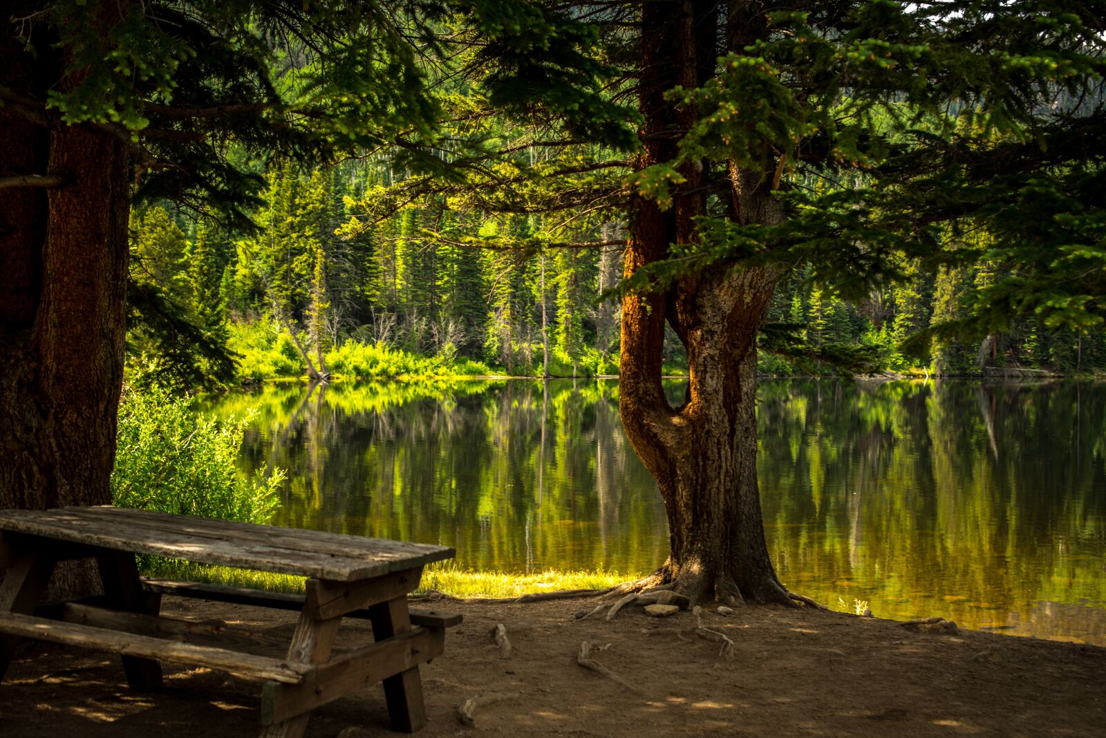 Nikon D750 sample photo. Bench, lake, park photography