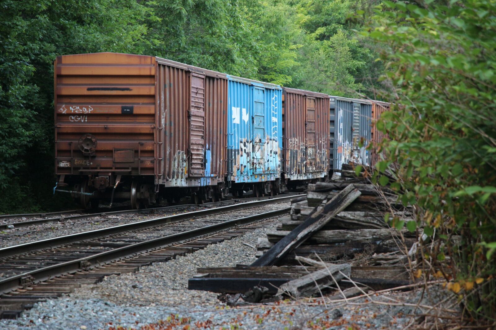 Canon EF-S 18-135mm F3.5-5.6 IS USM sample photo. Boxcars, railroad tracks, graffiti photography
