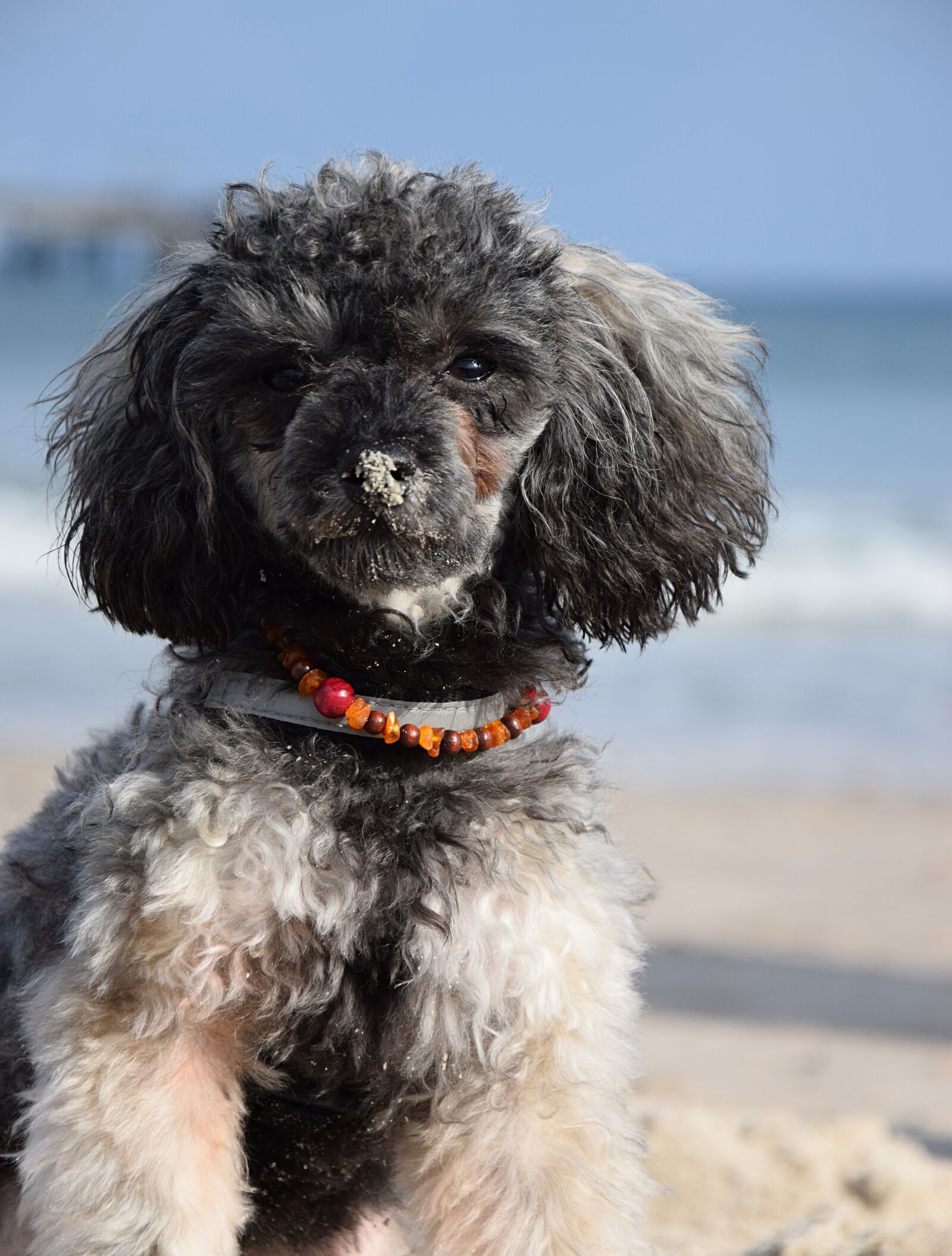 Nikon D3300 sample photo. Beach, sea, water photography