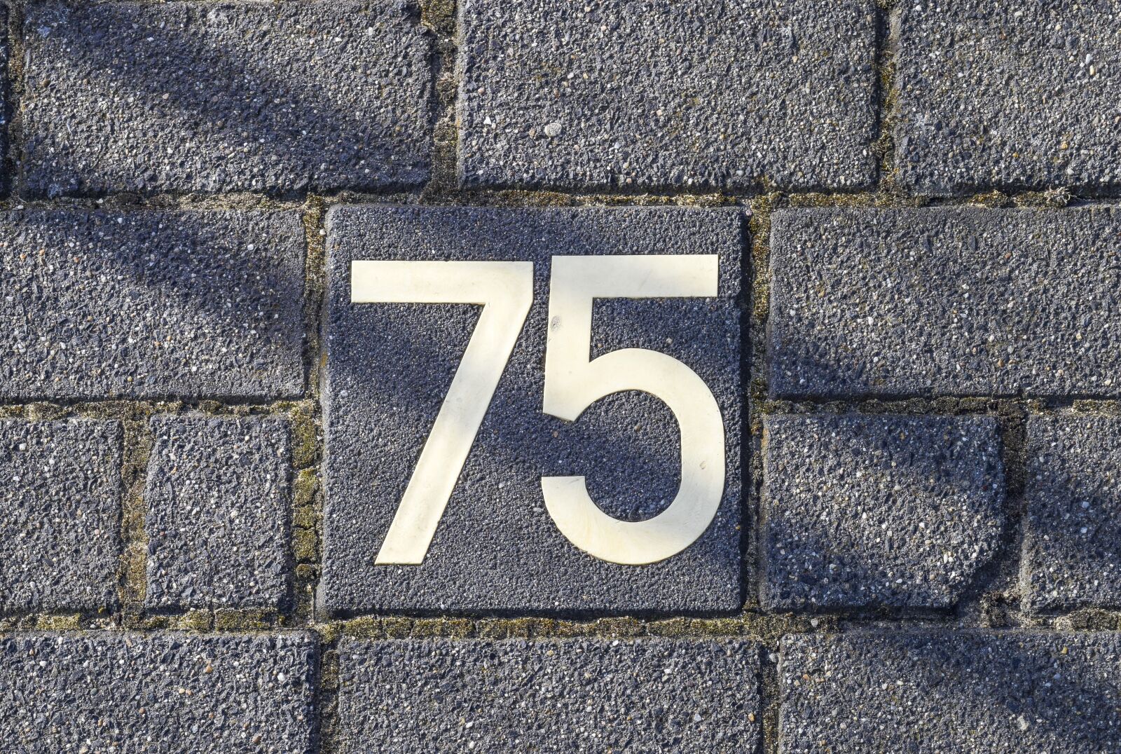 Nikon D3300 sample photo. Number, road, ad photography