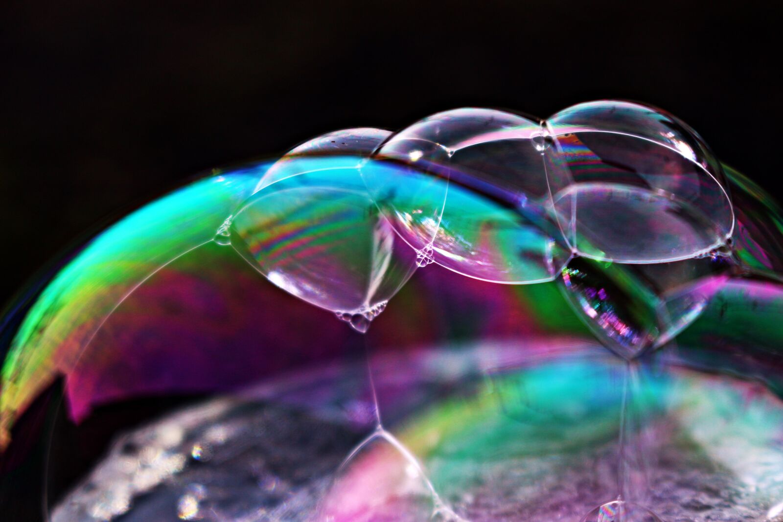 Canon EOS 100D (EOS Rebel SL1 / EOS Kiss X7) sample photo. Soap bubble, iridescent, bubble photography
