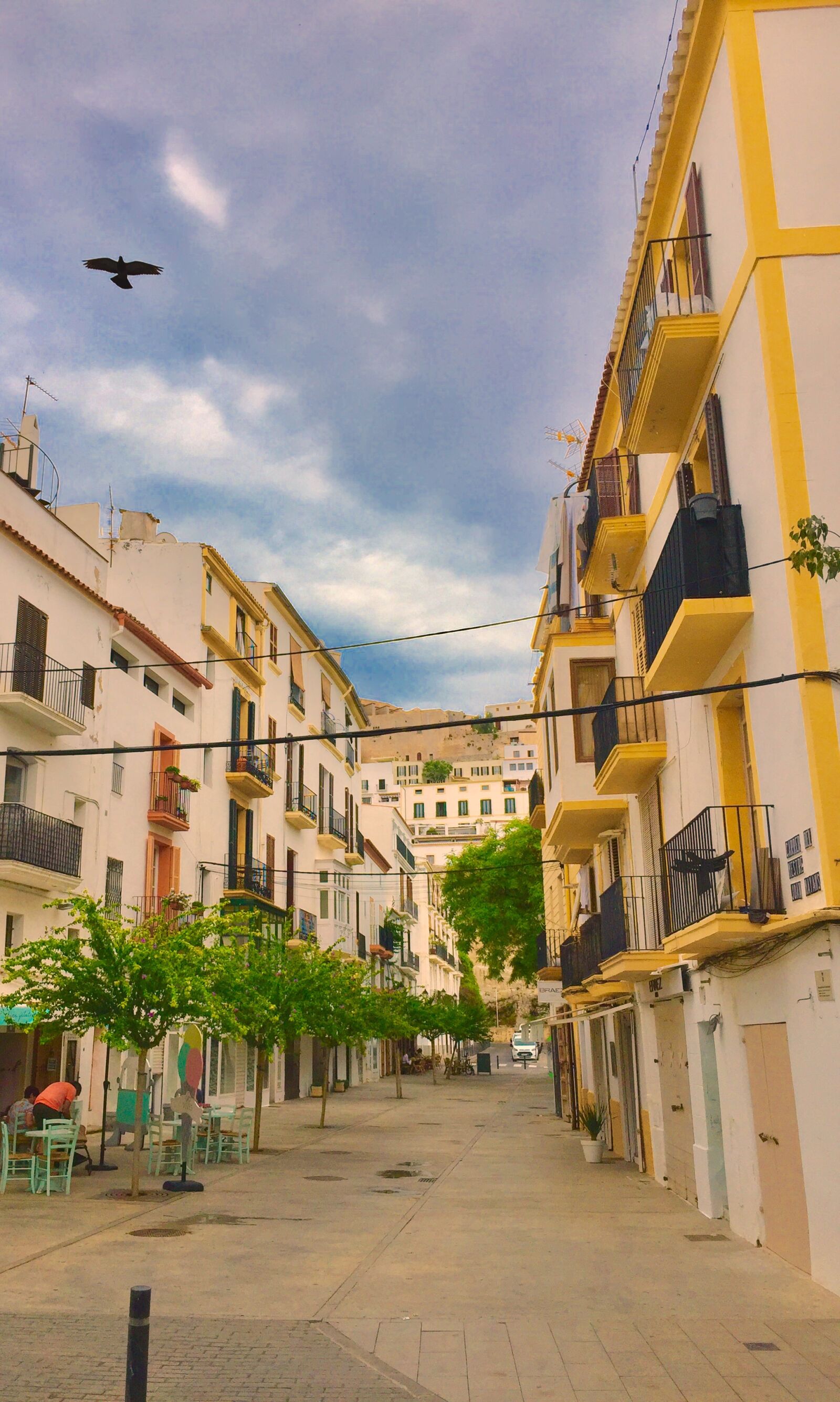 iPhone 6 back camera 4.15mm f/2.2 sample photo. Ibiza, bird, colorful photography