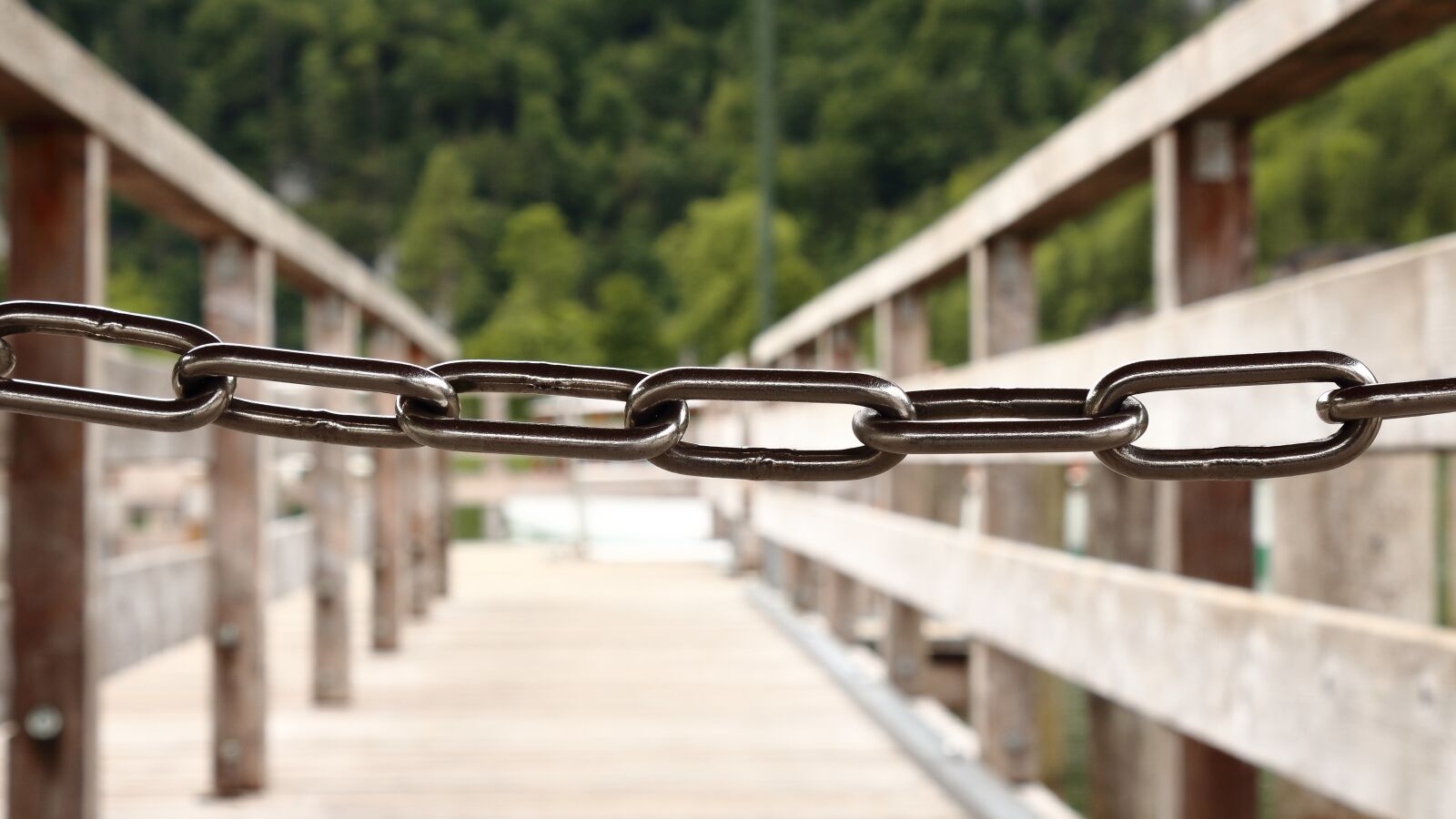 Canon EOS 1300D (EOS Rebel T6 / EOS Kiss X80) sample photo. Chain, web, lake photography