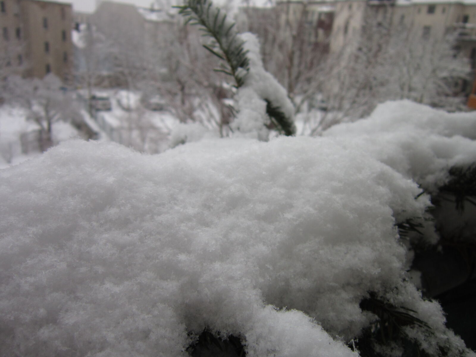 Canon PowerShot A3300 IS sample photo. Close, up, snow, snowflakes photography
