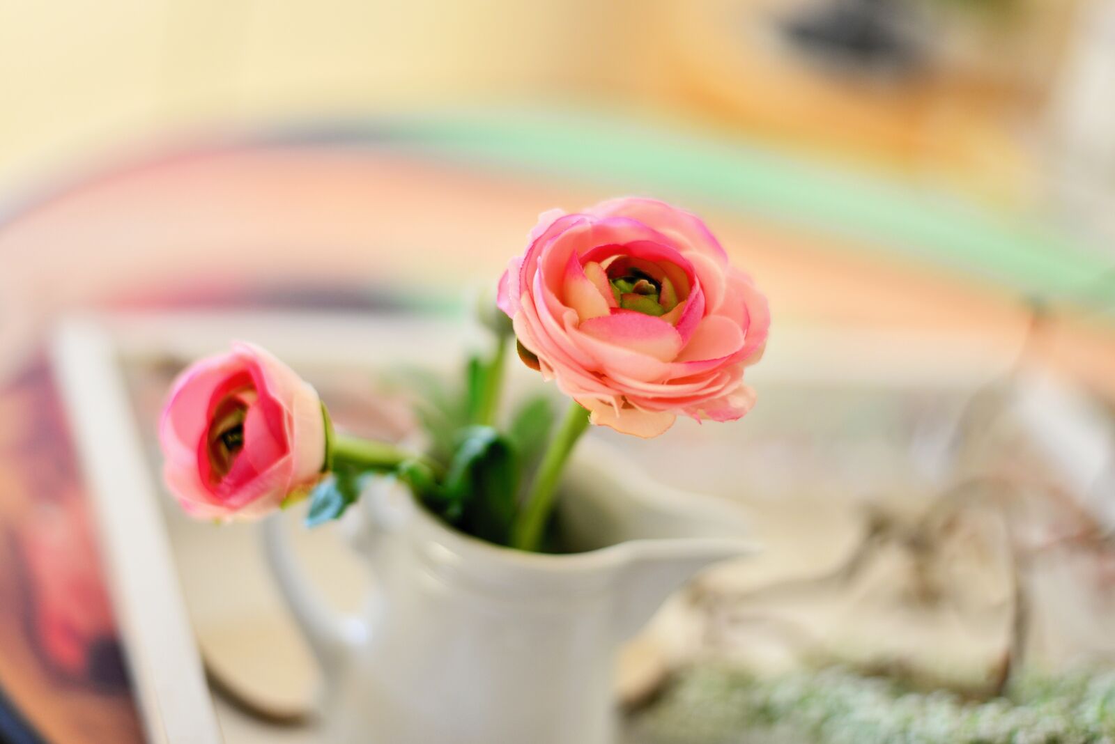 Nikon D610 sample photo. Ranunculus, blossom, bloom photography