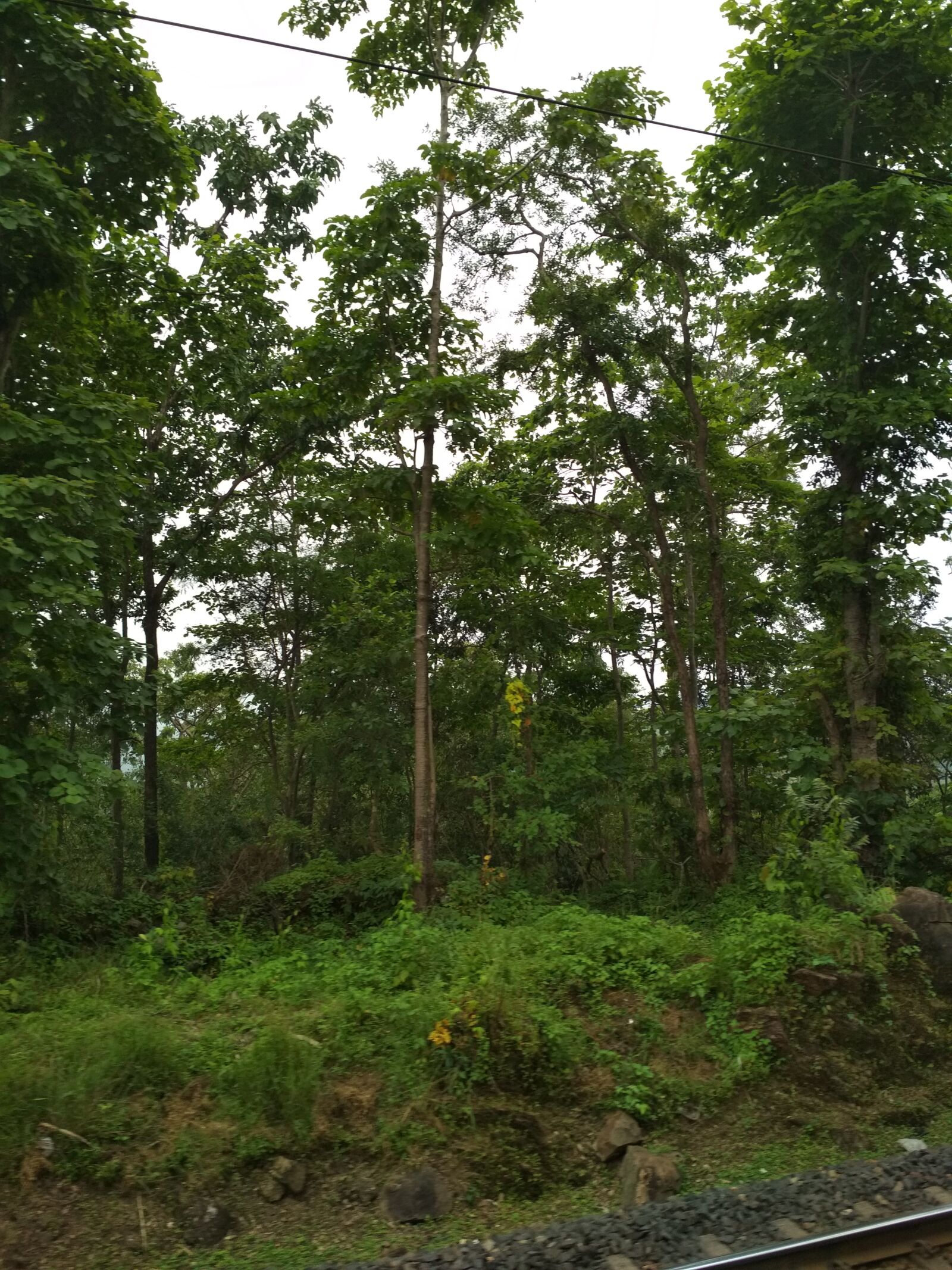 Xiaomi Redmi 4 Pro sample photo