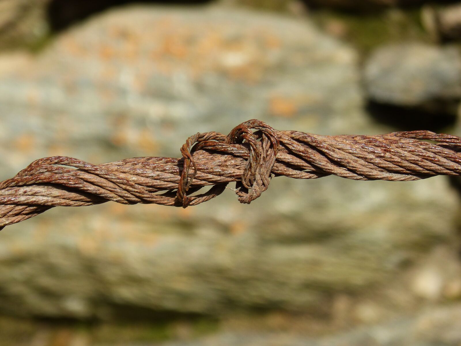 Panasonic DMC-FZ62 sample photo. Steel cable, knot, rusty photography