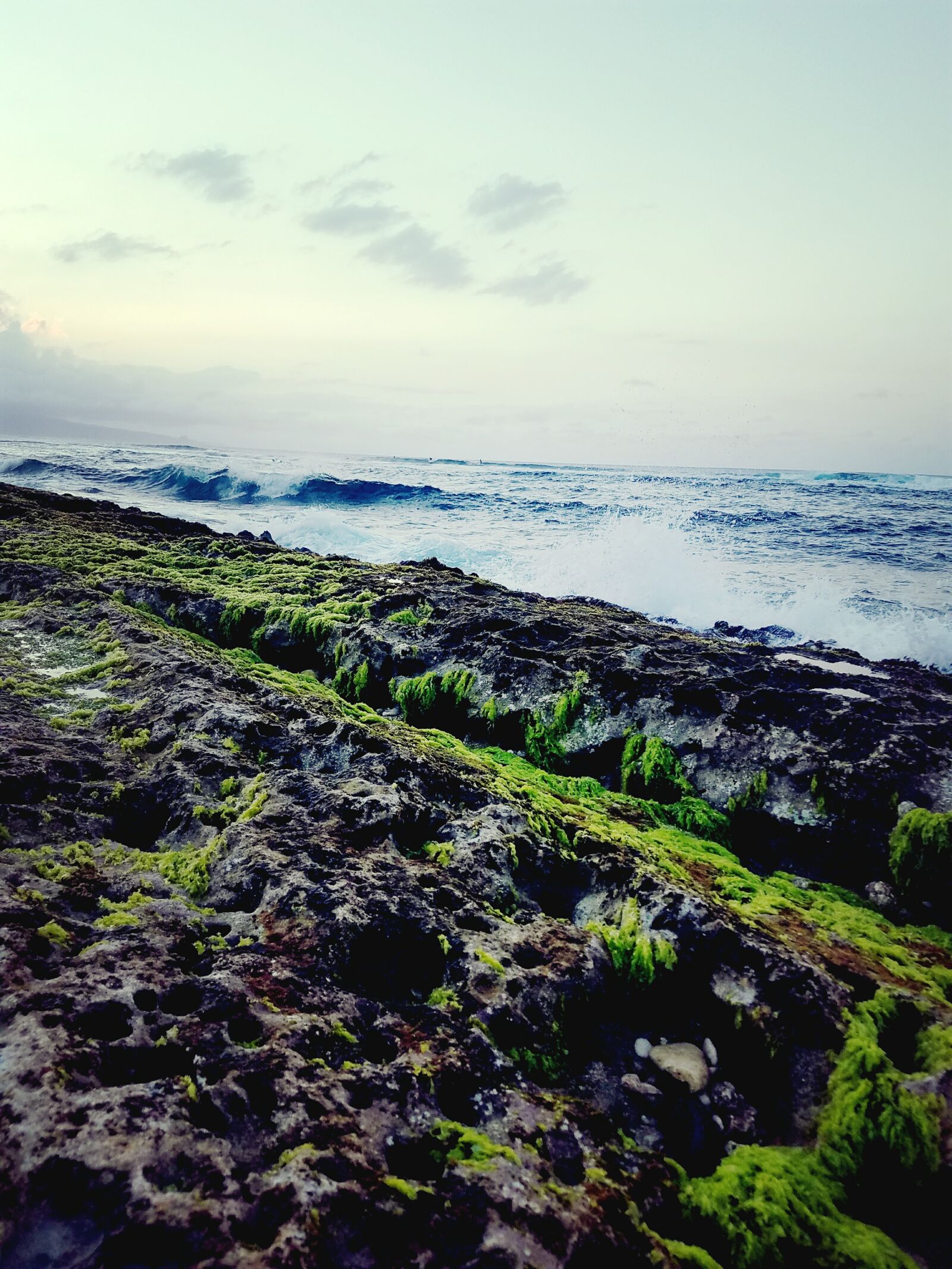 Samsung Galaxy S7 Edge sample photo. Algae, coast, line, hawaii photography