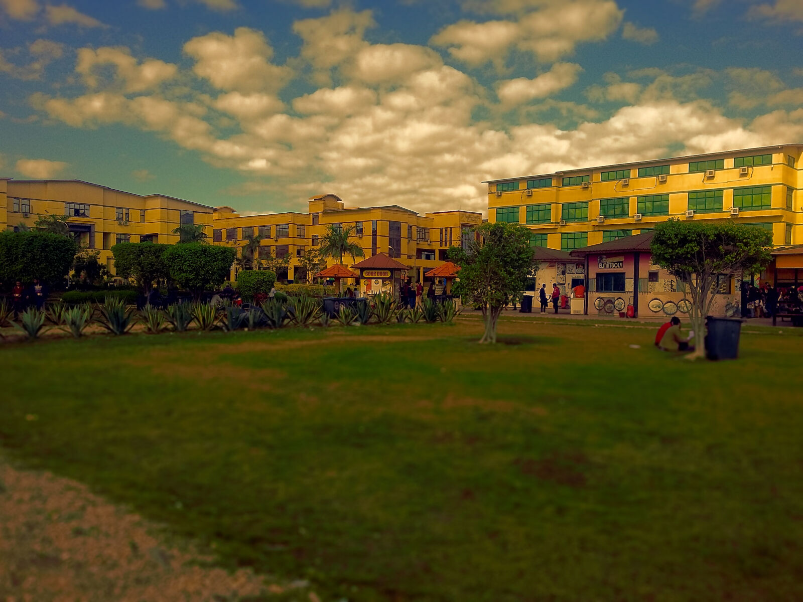 Samsung Galaxy Grand Prime sample photo. Delta, egypt, university photography