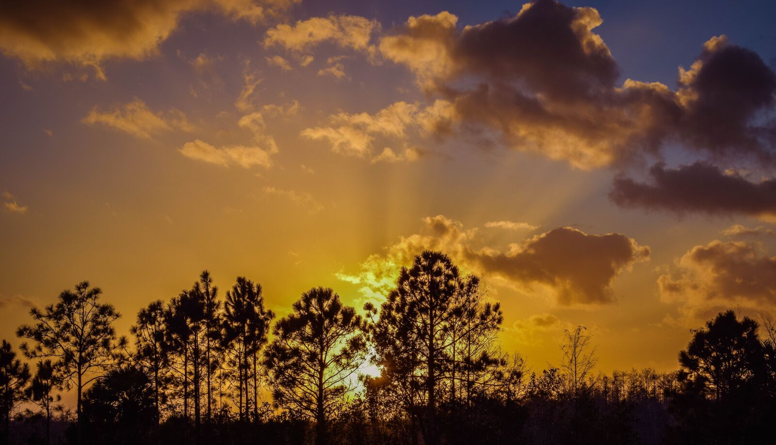 Nikon D5300 sample photo. Sunset, everglades, south photography