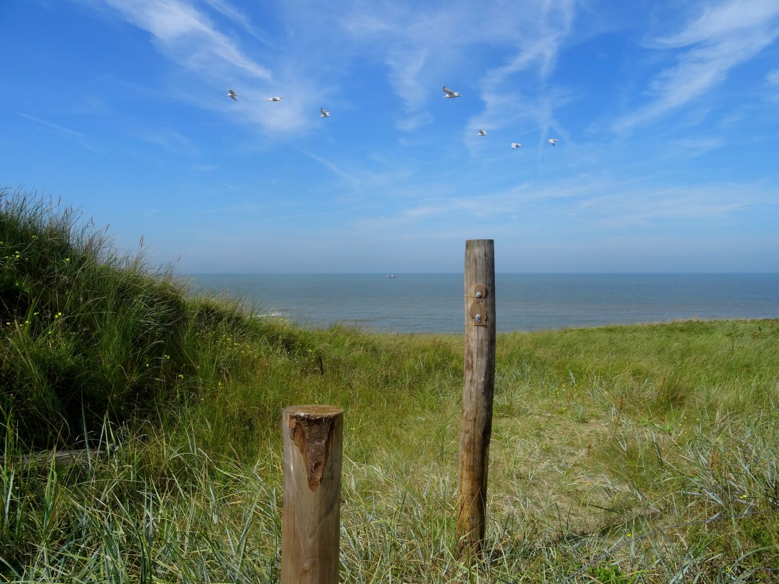 Sony DSC-HX50 sample photo. North sea, beach, dune photography