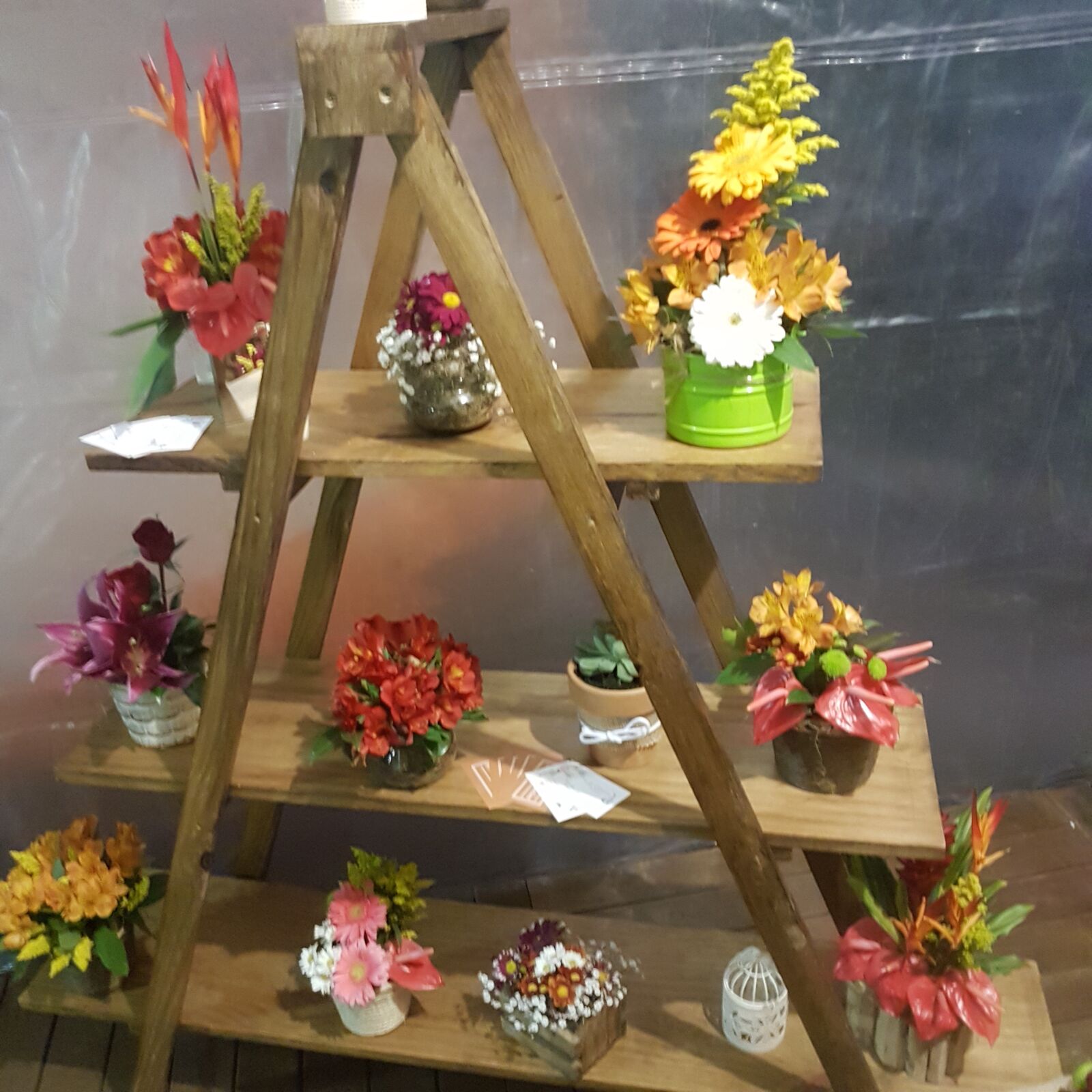 Samsung Galaxy S7 Edge sample photo. Bookshelf, flower, decoration photography