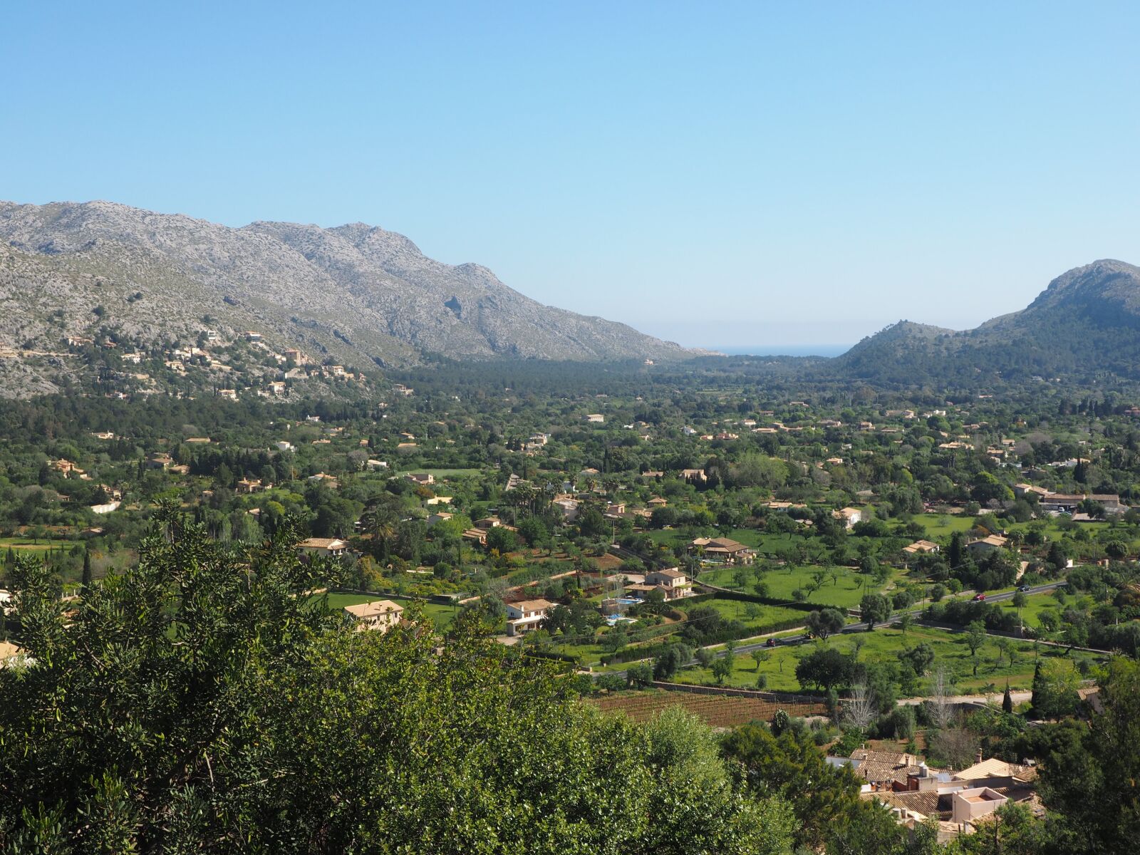 OLYMPUS M.12-50mm F3.5-6.3 sample photo. Potenca, mallorca, city photography