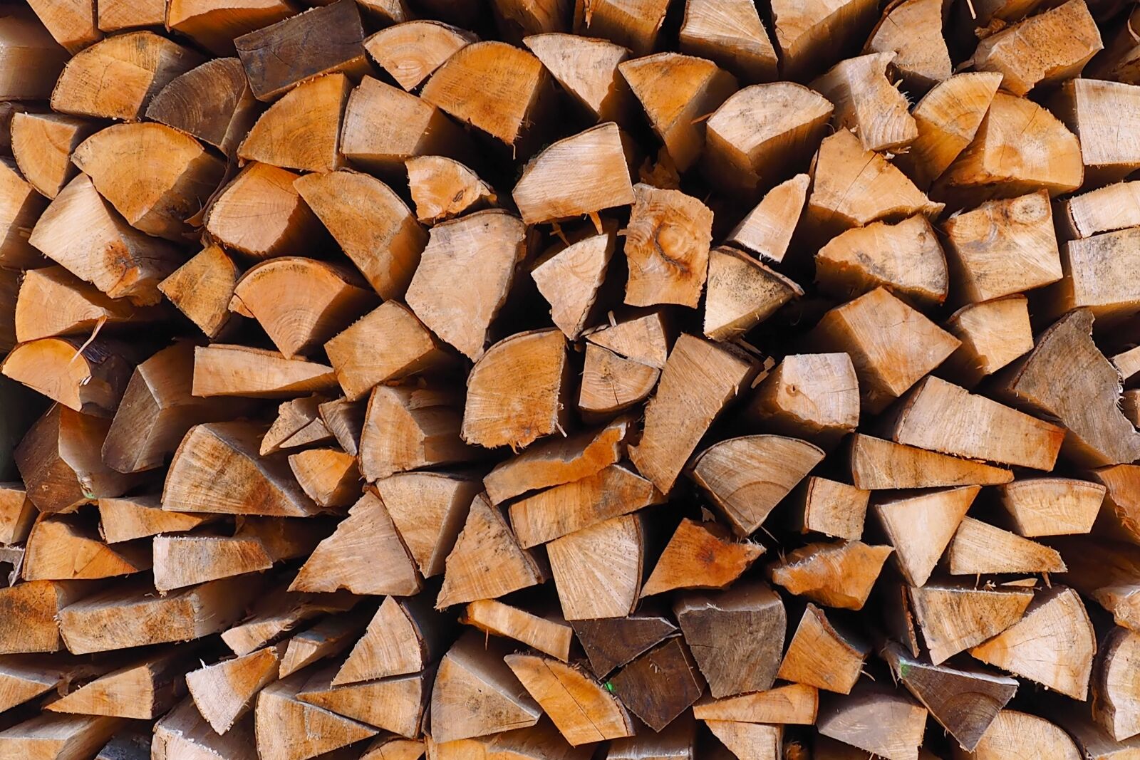 Olympus OM-D E-M1 + Olympus M.Zuiko Digital ED 12-40mm F2.8 Pro sample photo. Wood, logs, wood pile photography