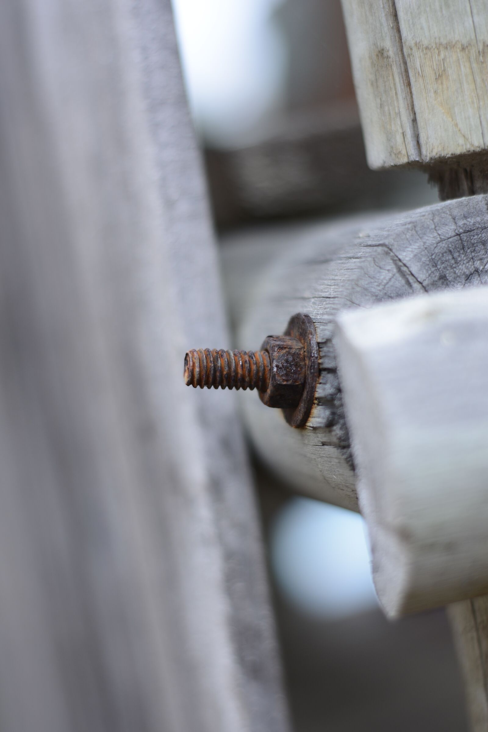 Nikon D5200 sample photo