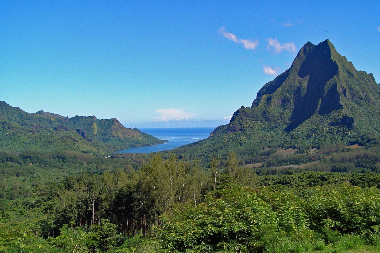 Olympus SP500UZ sample photo. Moorea, french, polynesia photography