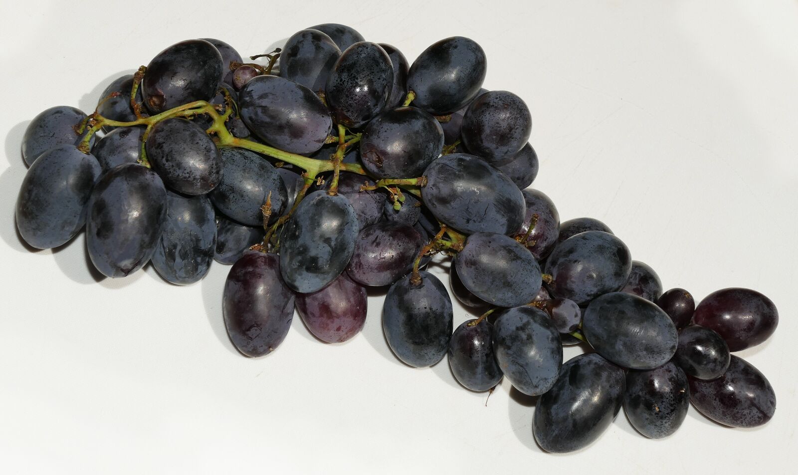 Panasonic Lumix DMC-FZ1000 sample photo. Grapes, wine berries, panicle photography