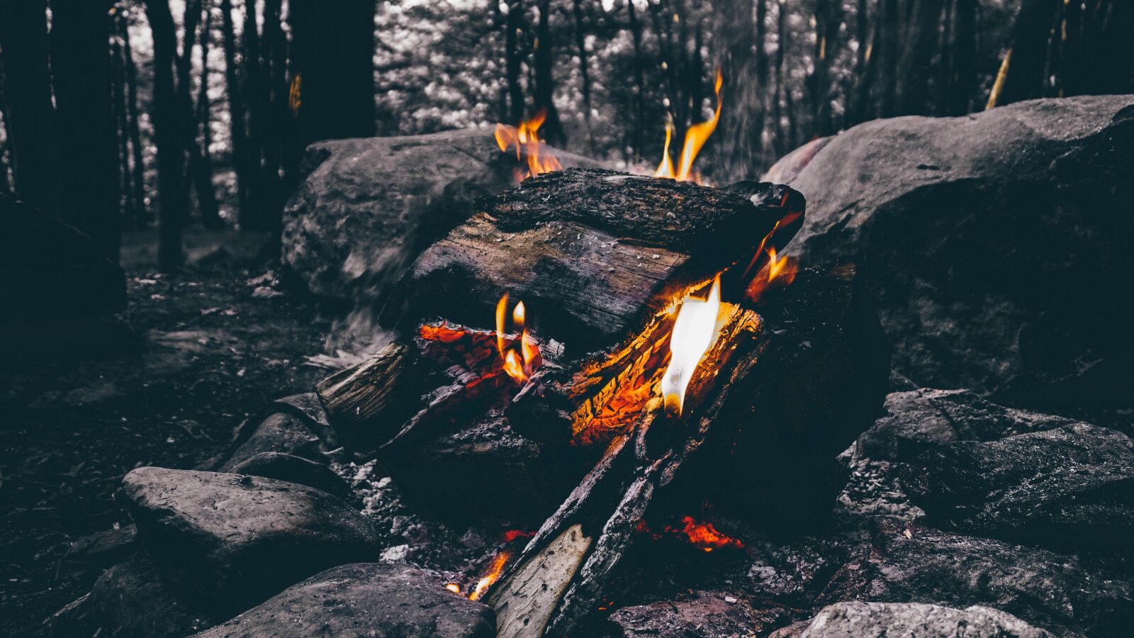 Sony a6000 sample photo. Ash, burning, campfire photography