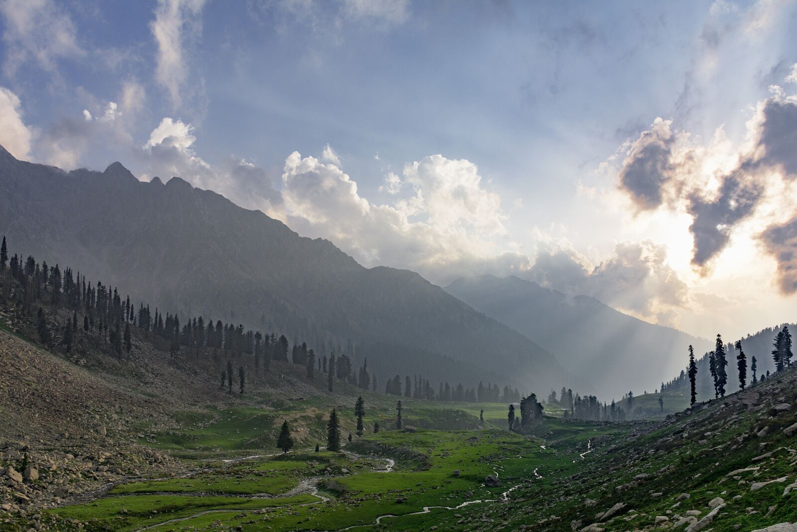 Nikon D7100 sample photo. Jahazbanda, meadows, kumrat photography