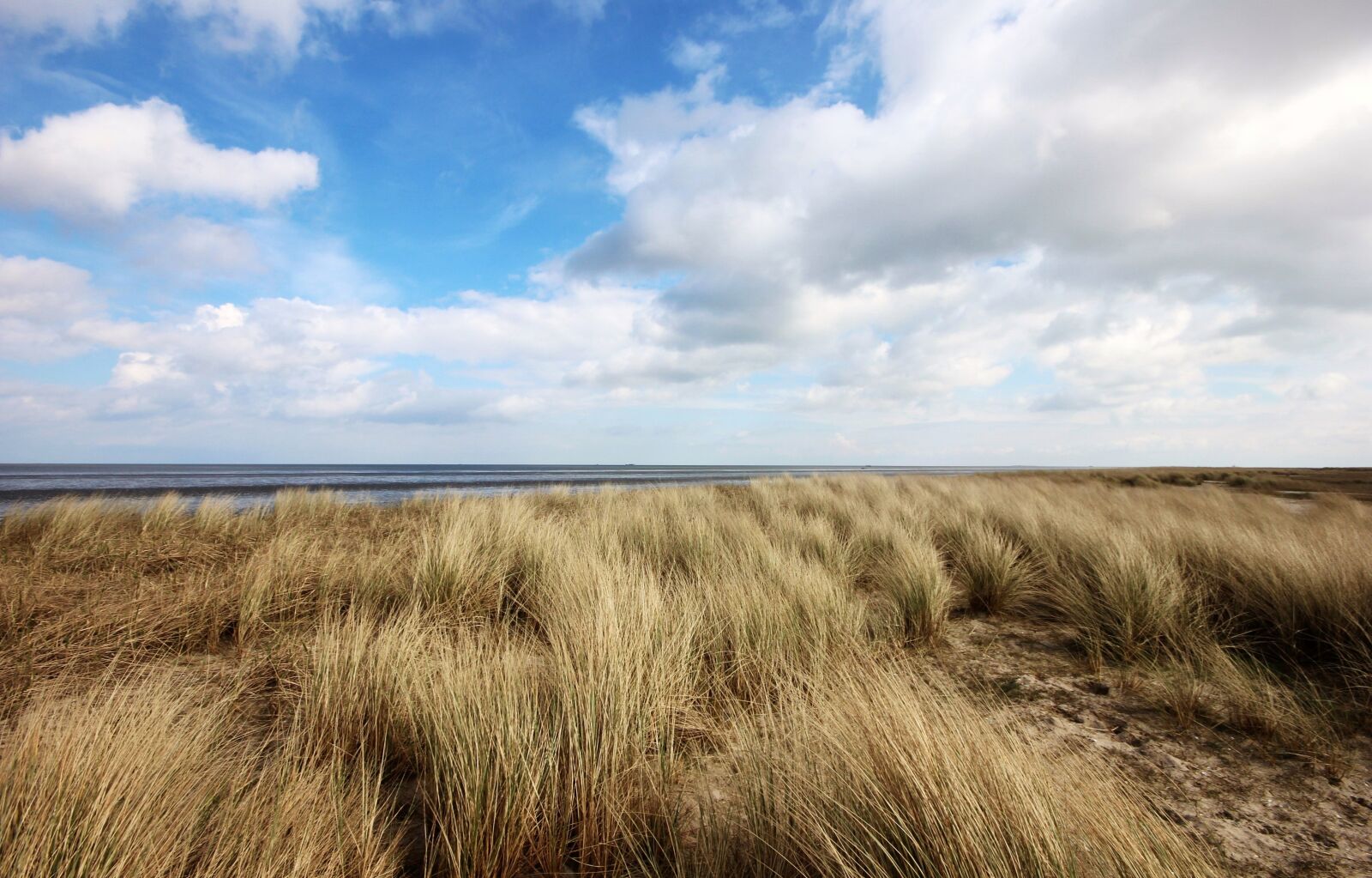 Canon EOS 600D (Rebel EOS T3i / EOS Kiss X5) sample photo. North sea, clouds, wind photography