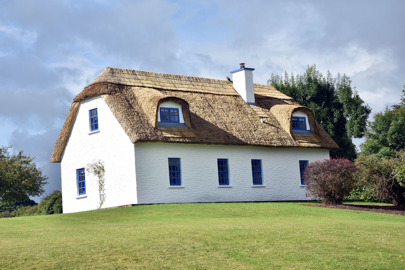 Nikon D3400 sample photo. House, rush, architecture photography