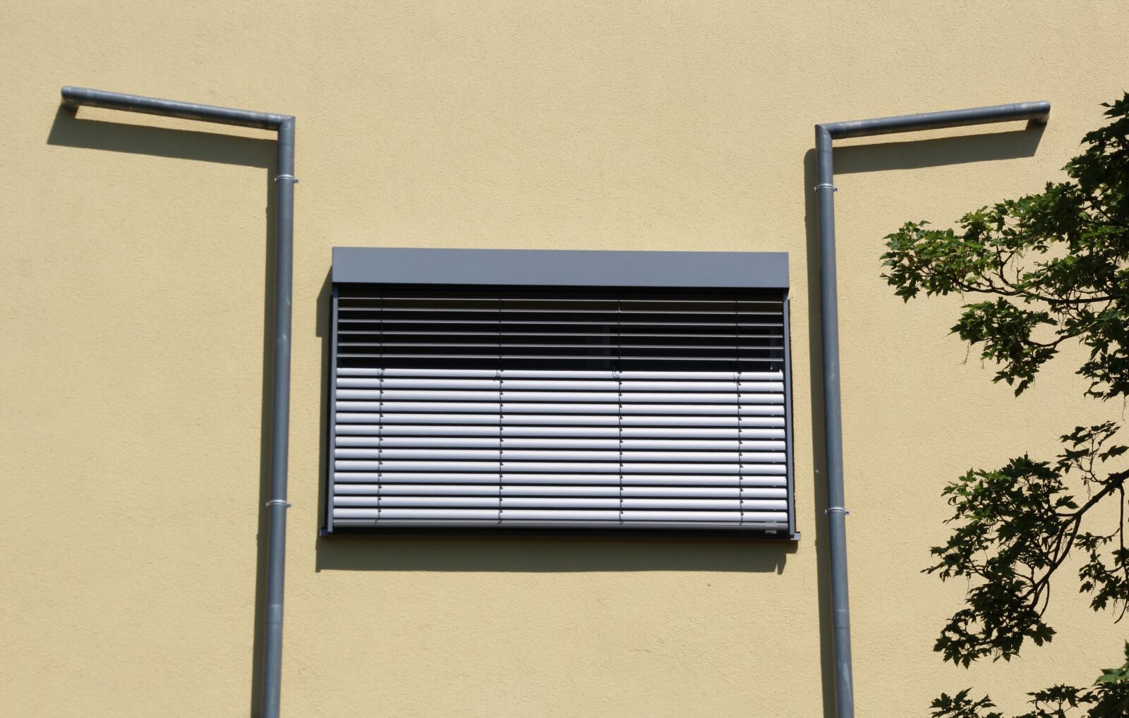 Canon EOS 1200D (EOS Rebel T5 / EOS Kiss X70 / EOS Hi) sample photo. Hauswand, yellow, window photography