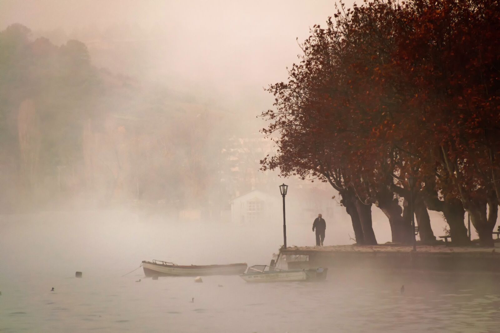 Nikon D5300 sample photo. Fog, foggy, landscape photography