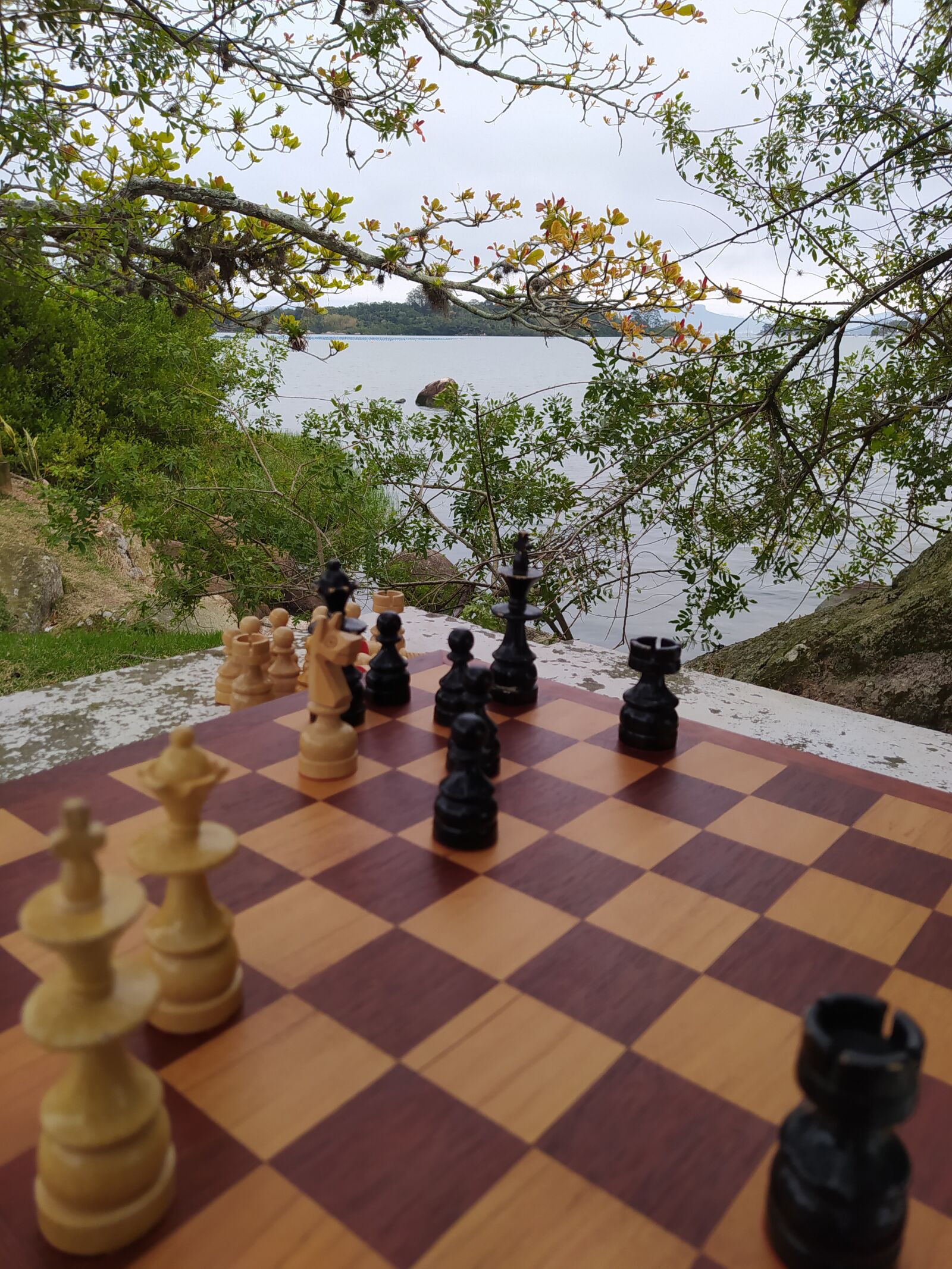 Xiaomi Redmi Note 8 sample photo. Xadrez, tabuleiro, natureza photography