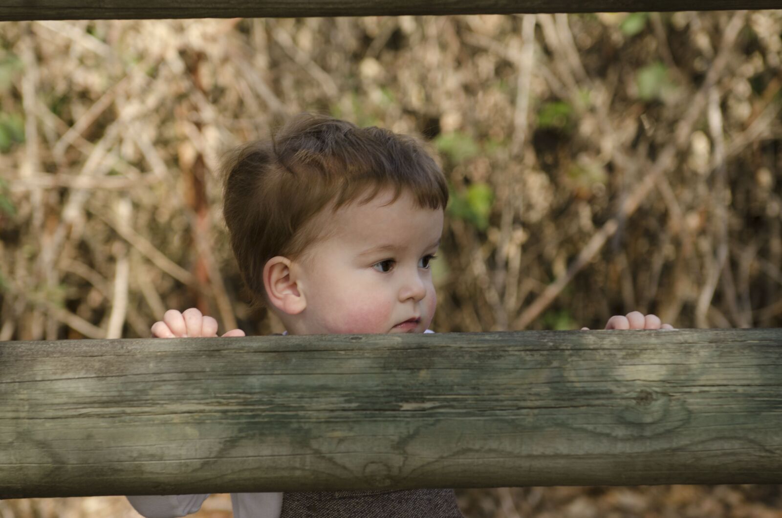 Nikon D7000 sample photo. Boy, cute, toddler photography