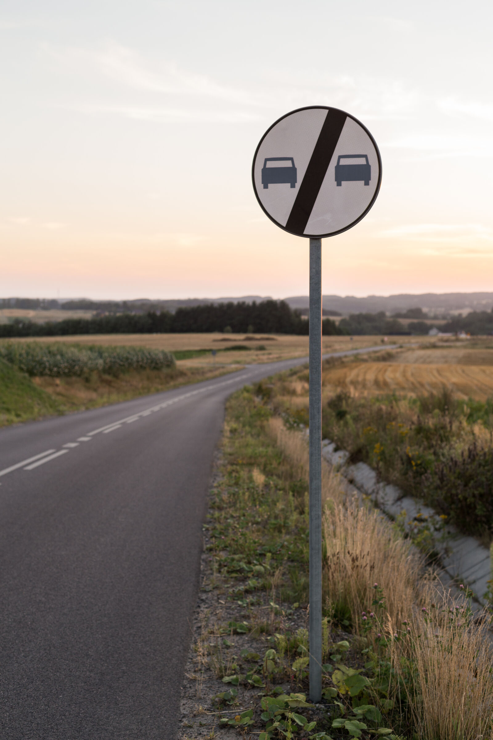 Canon EOS 6D + Canon EF 50mm F1.4 USM sample photo. Bike, chill, field, holidays photography