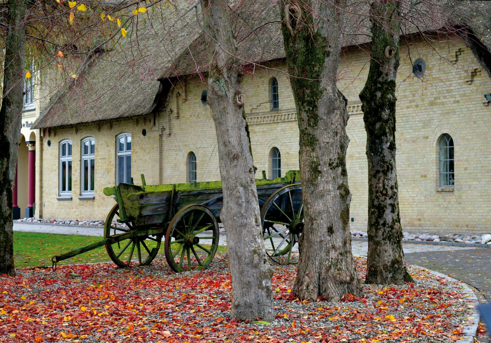 Nikon D3200 sample photo. Thatched cottage, old wooden photography