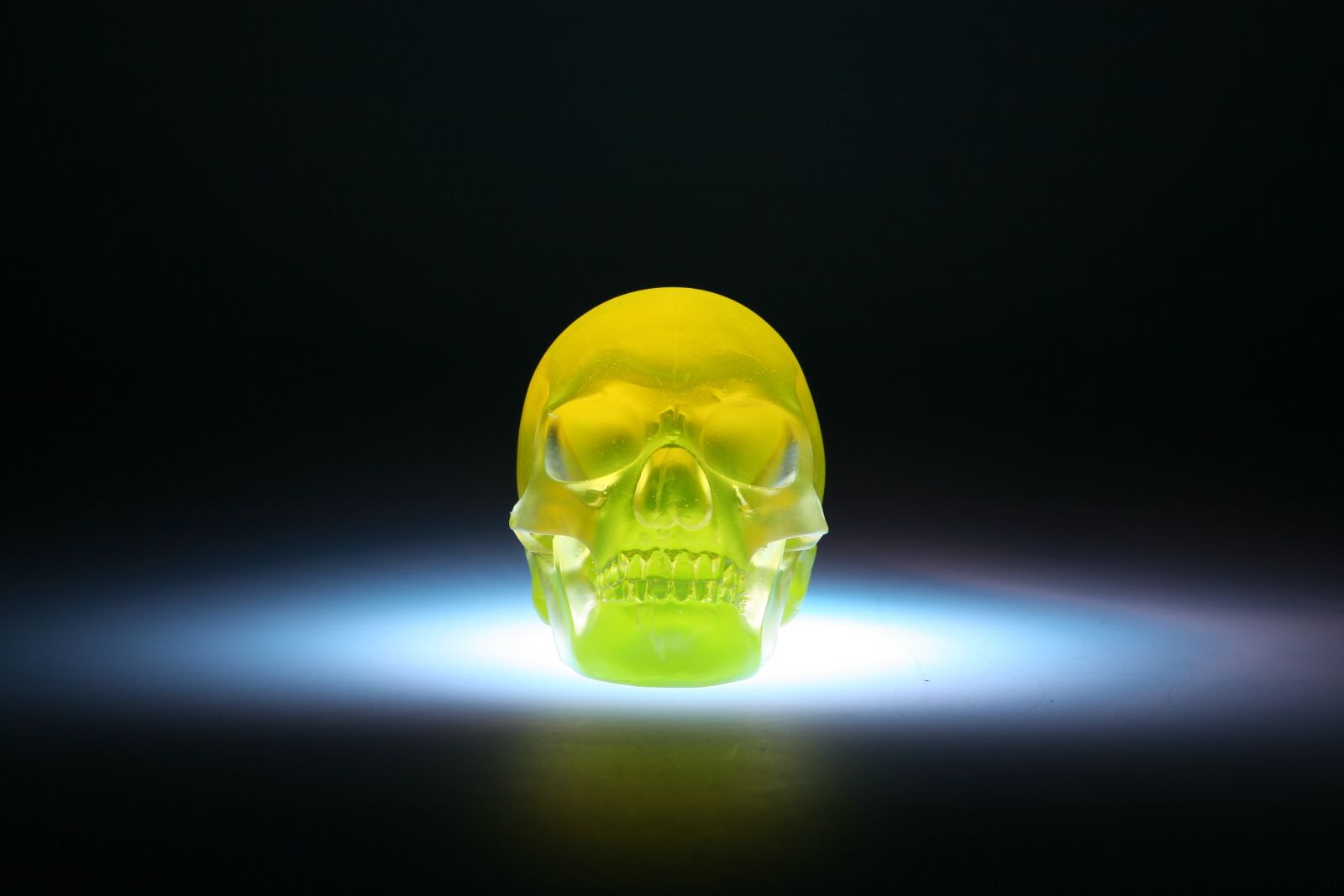 Canon EOS 5D sample photo. Skull, sculpture, glass photography