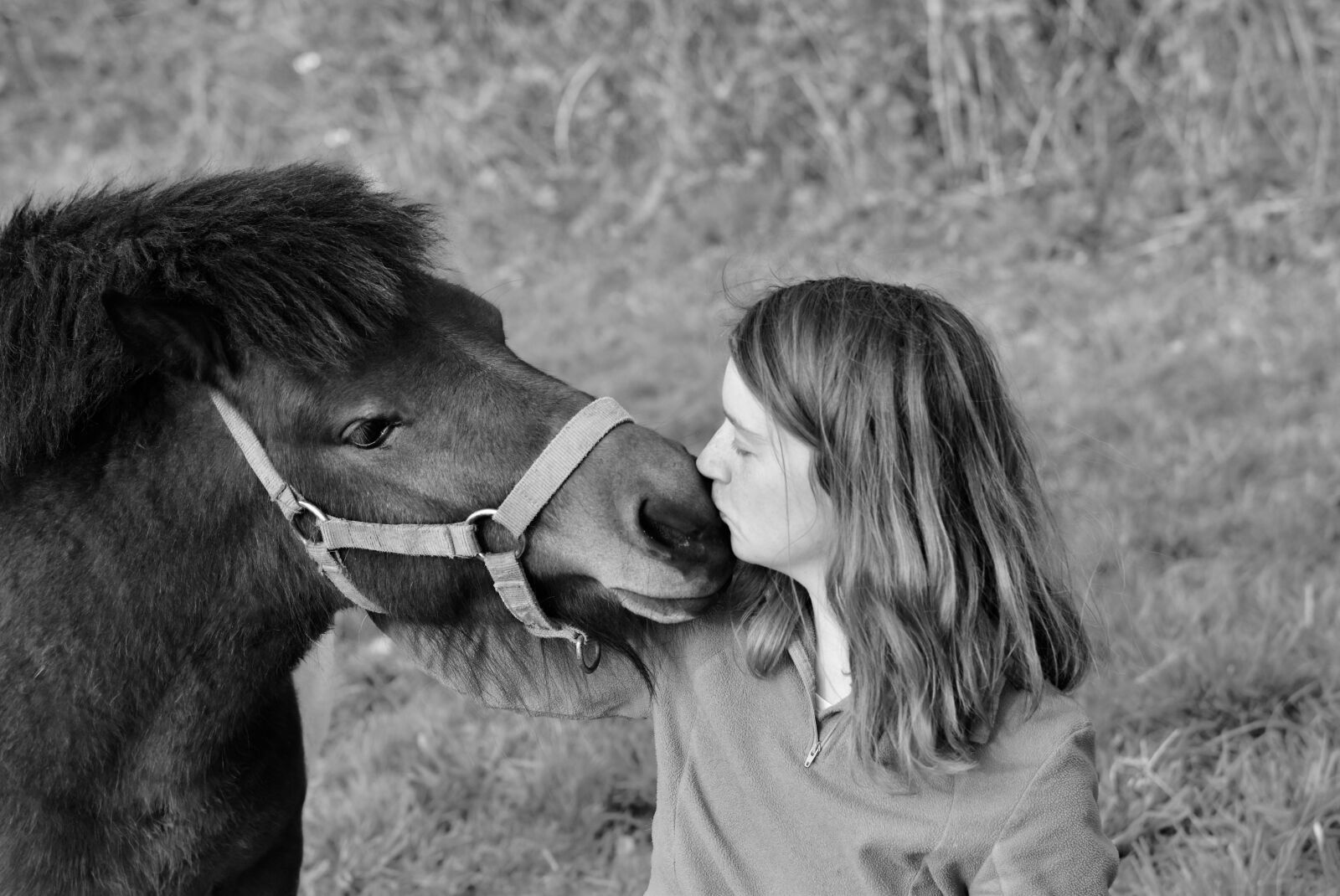 Nikon D5600 sample photo. Kisses, kiss, girl pony photography